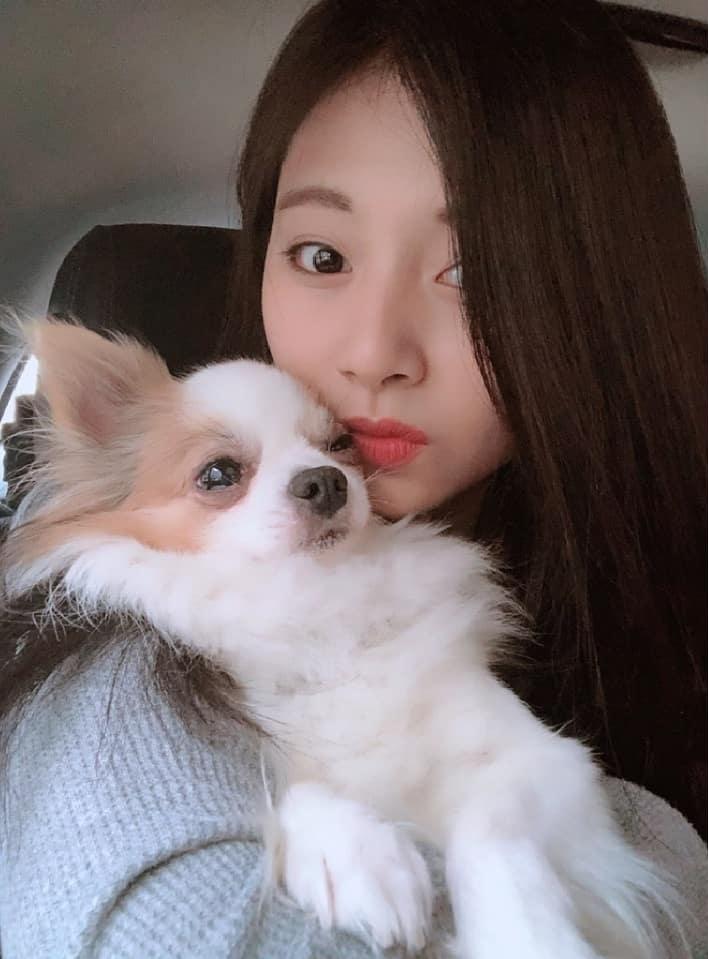 周子瑜之前常po美美的照片或她與愛犬的合照。(翻攝自twice IG)