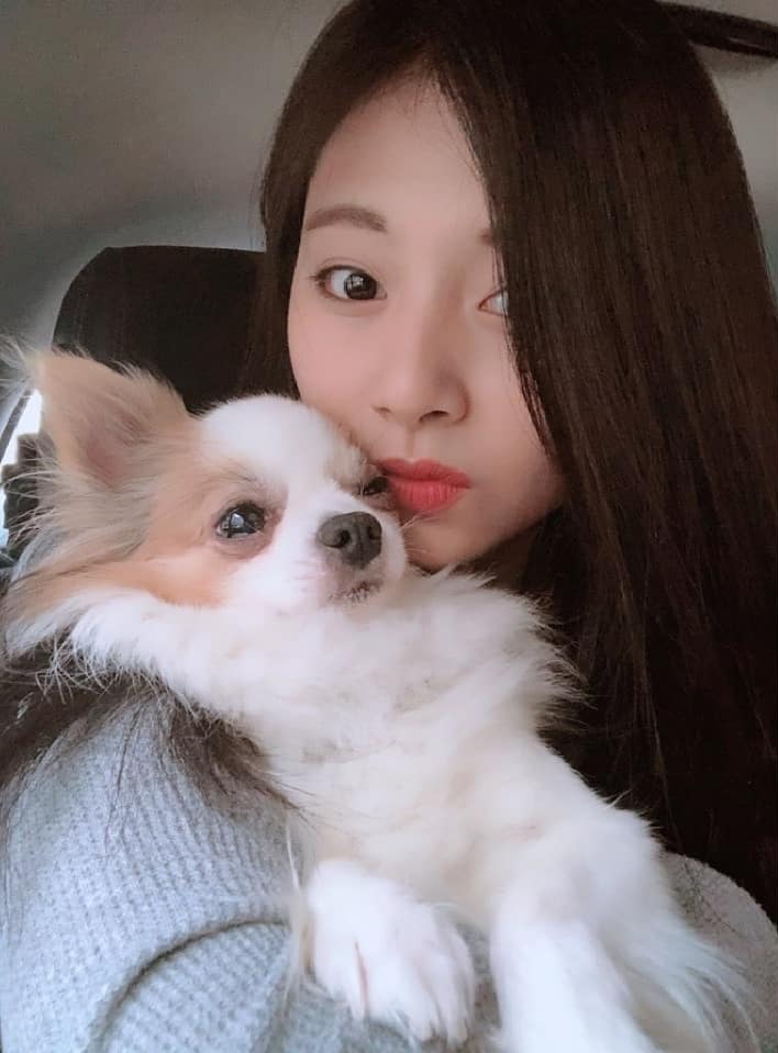 周子瑜之前常po美美的照片或她與愛犬的合照。（翻攝自twice IG）