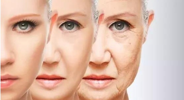 （圖片來源：麻省理工科技評論）