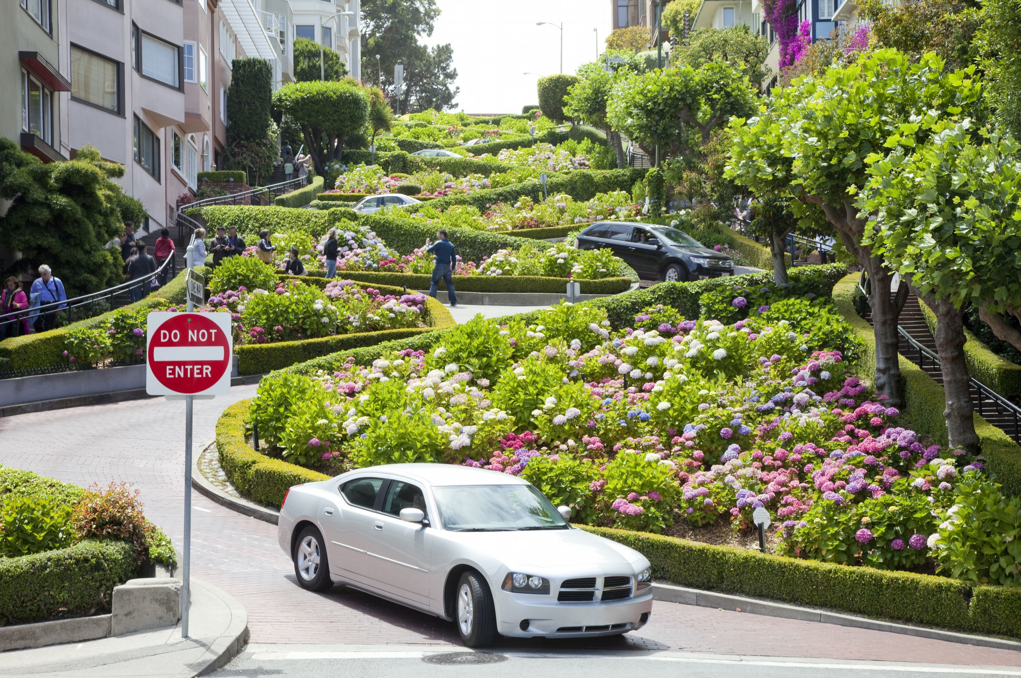 舊金山著名的景點「九曲花街」，吸引許多觀光客朝聖。（東方IC）