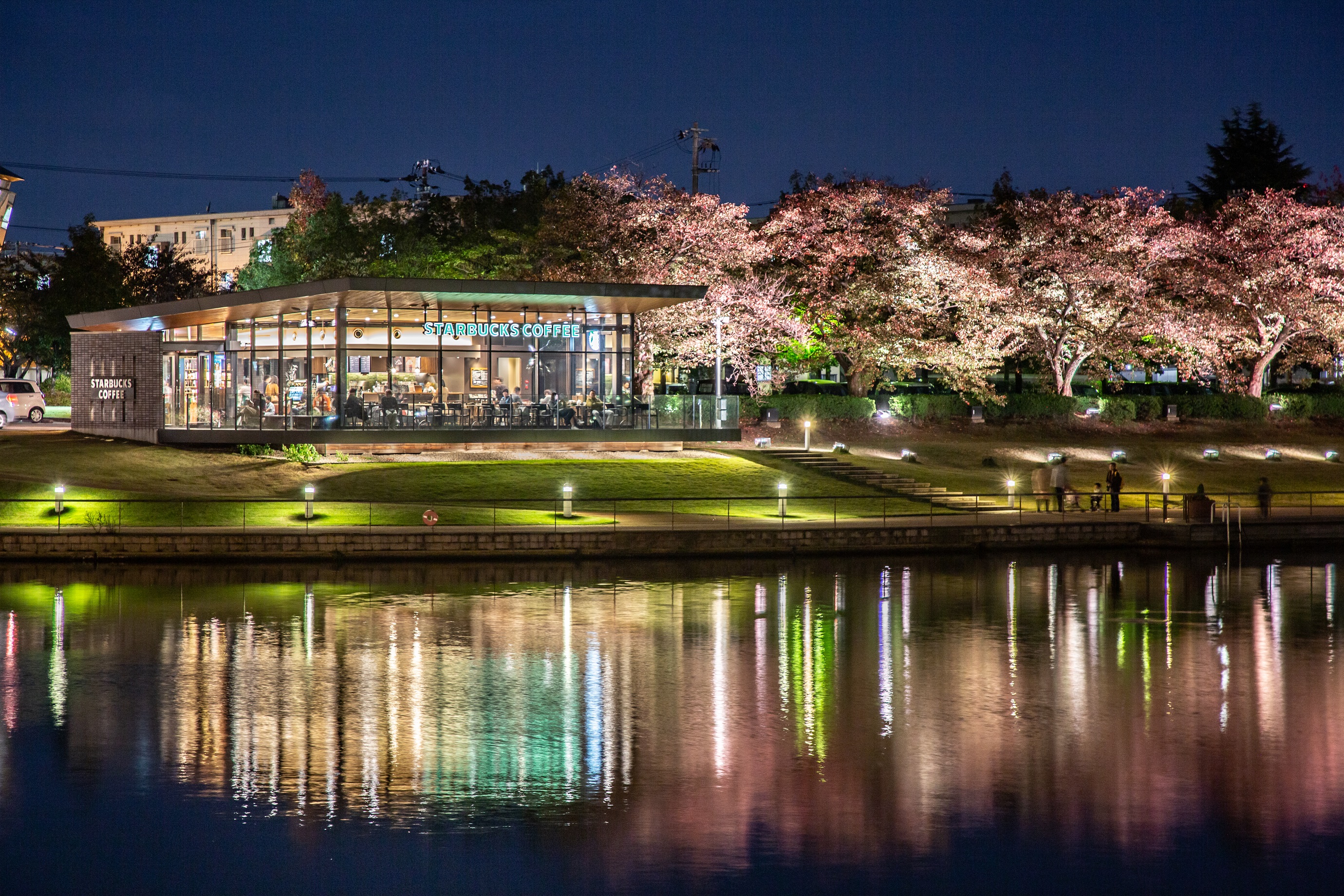富山市環水公園春天時櫻花盛開，公園咖啡館獲得「全球最美星巴克」美名。