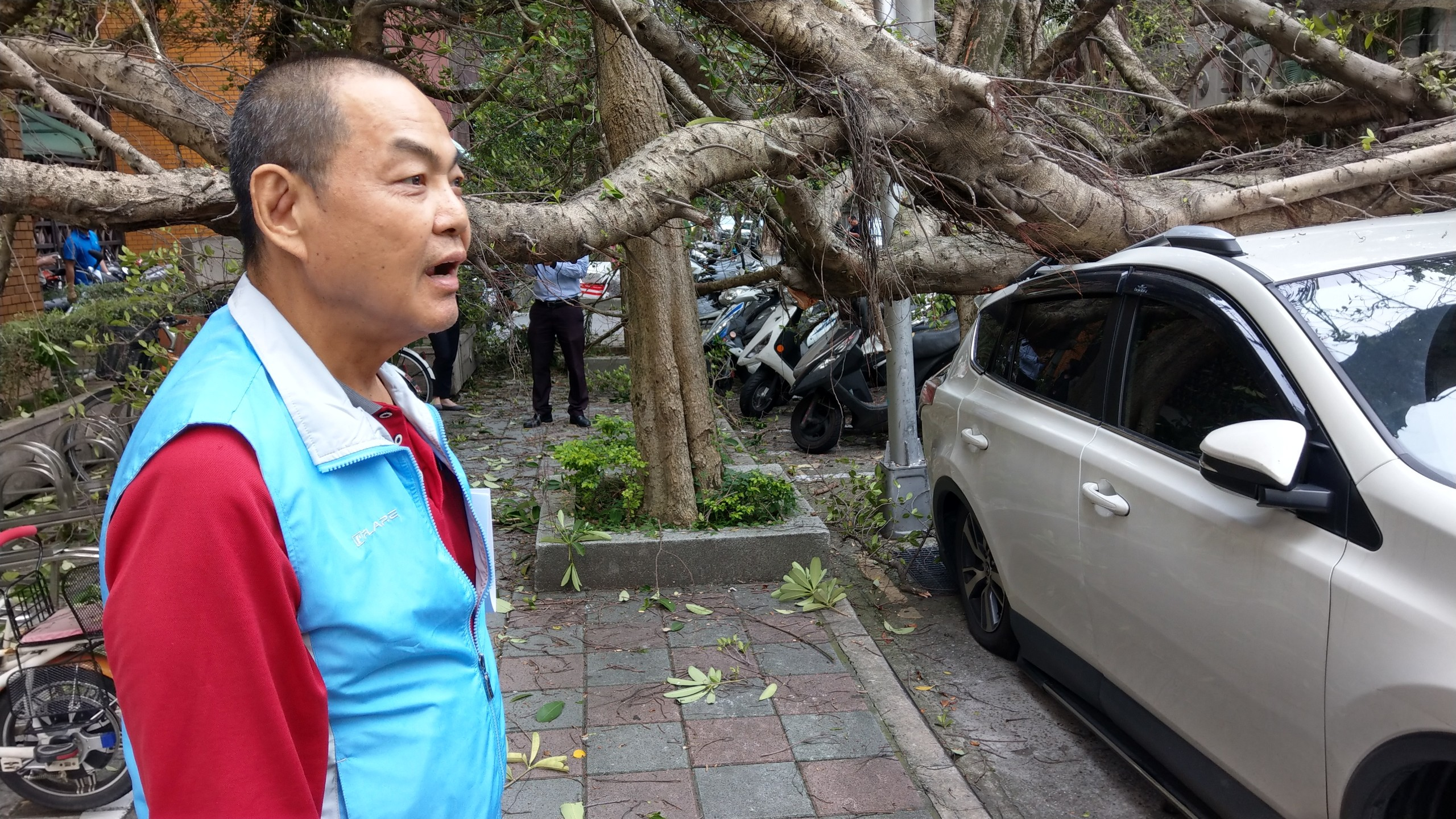 張姓男子將車子停在停車格遭大樹壓壞，將研究聲請國家賠償。