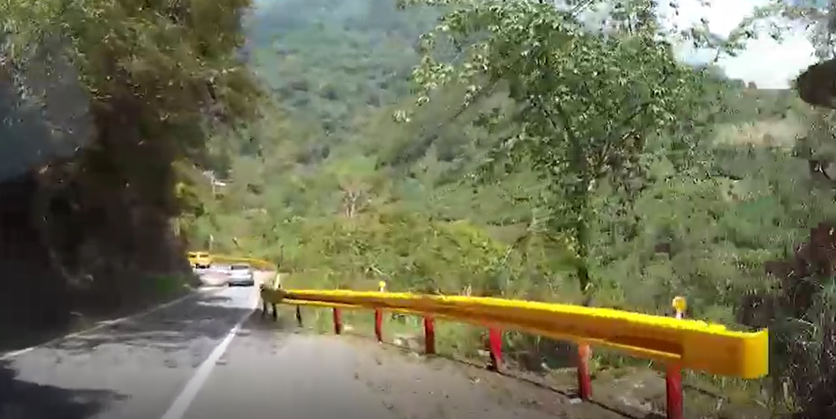地震發生當下,駕駛感覺天搖地動,趕忙將車先停路邊。(翻攝網路)