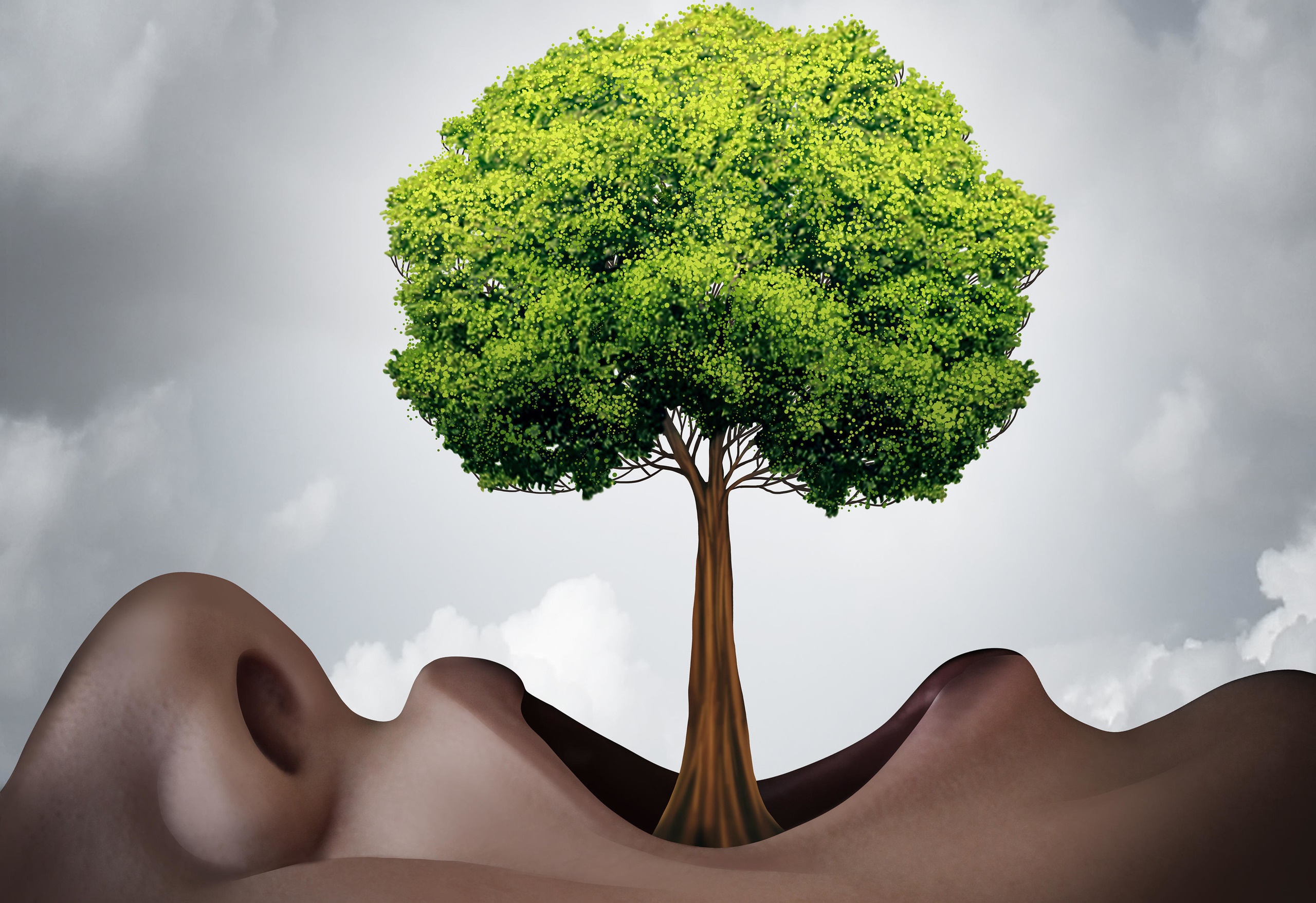 如果十二星座真的能把人分成十二種，那該有多好！為什麼星座或心理測驗會神準？這季語言好好玩的節目，將帶領各位更深入看見日常語言的奧秘。