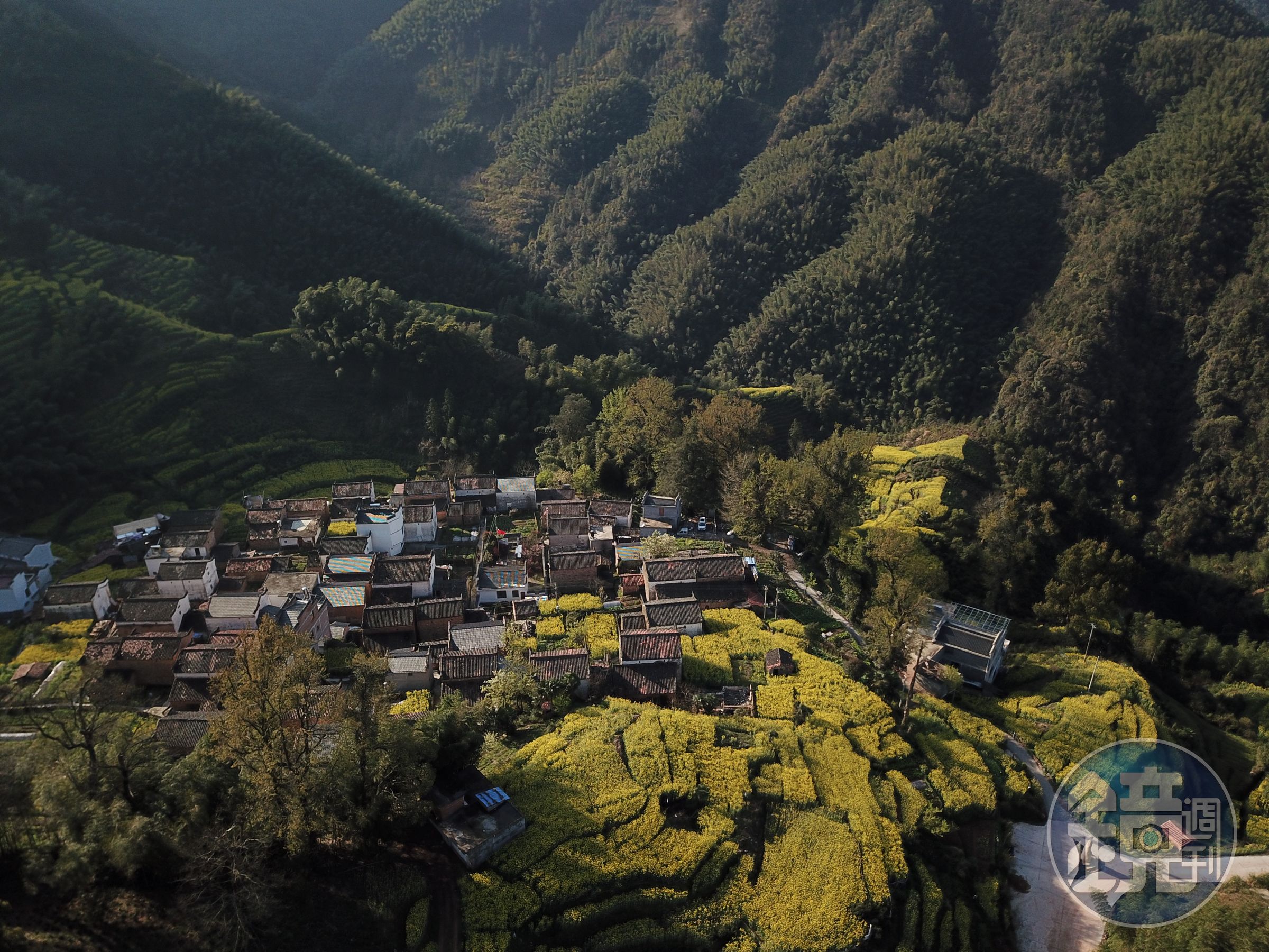 被大山包圍的「龍池汰」，是完全沒被人工包裝過的古村落，也是欣賞婺源油菜花美景的最後祕境。