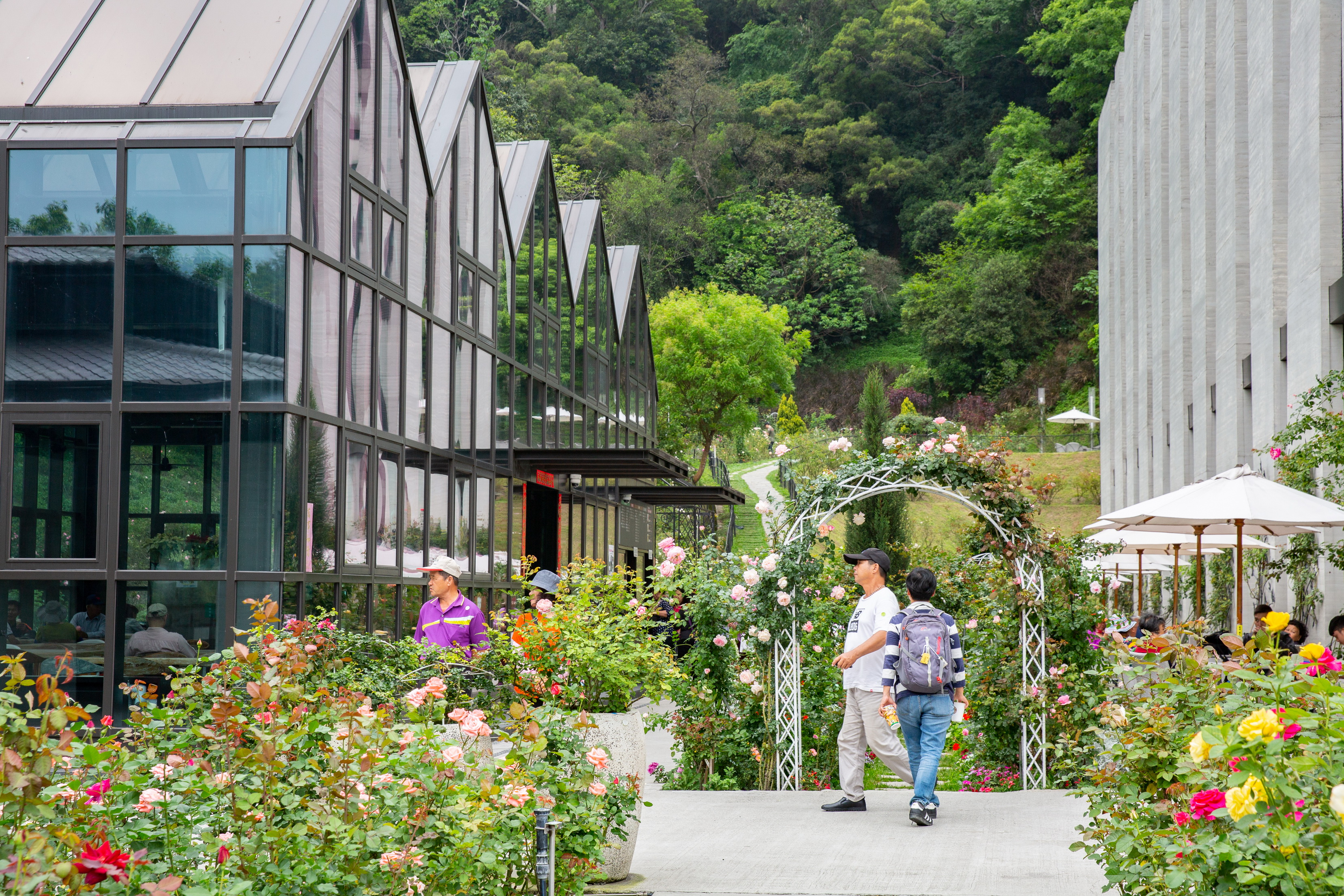滿是玫瑰花的森林花園，一年四季輪番開花。