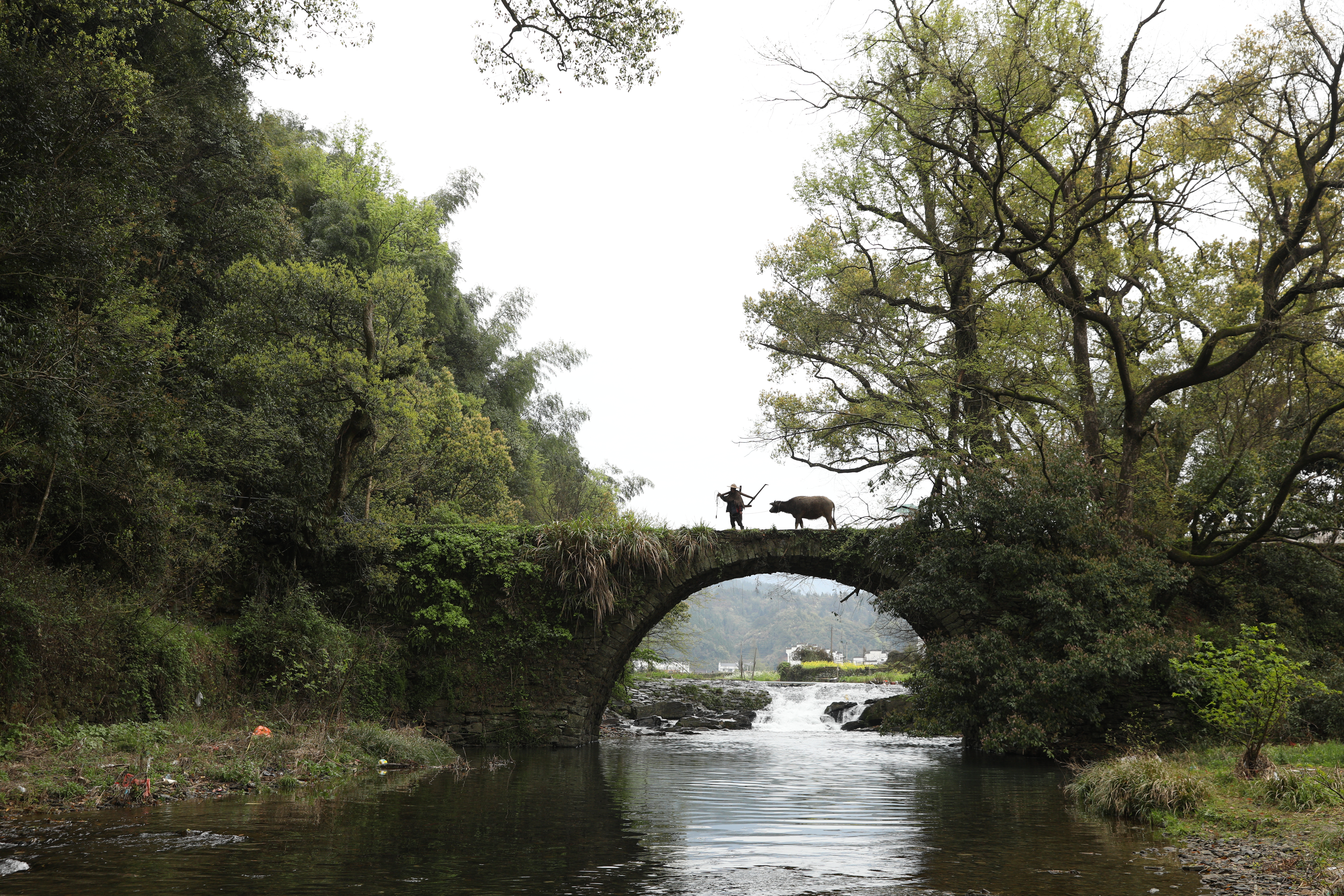 農夫在察關古橋上牽牛的景象，曾經在許多電影中出現，也是攝影家們的最愛。