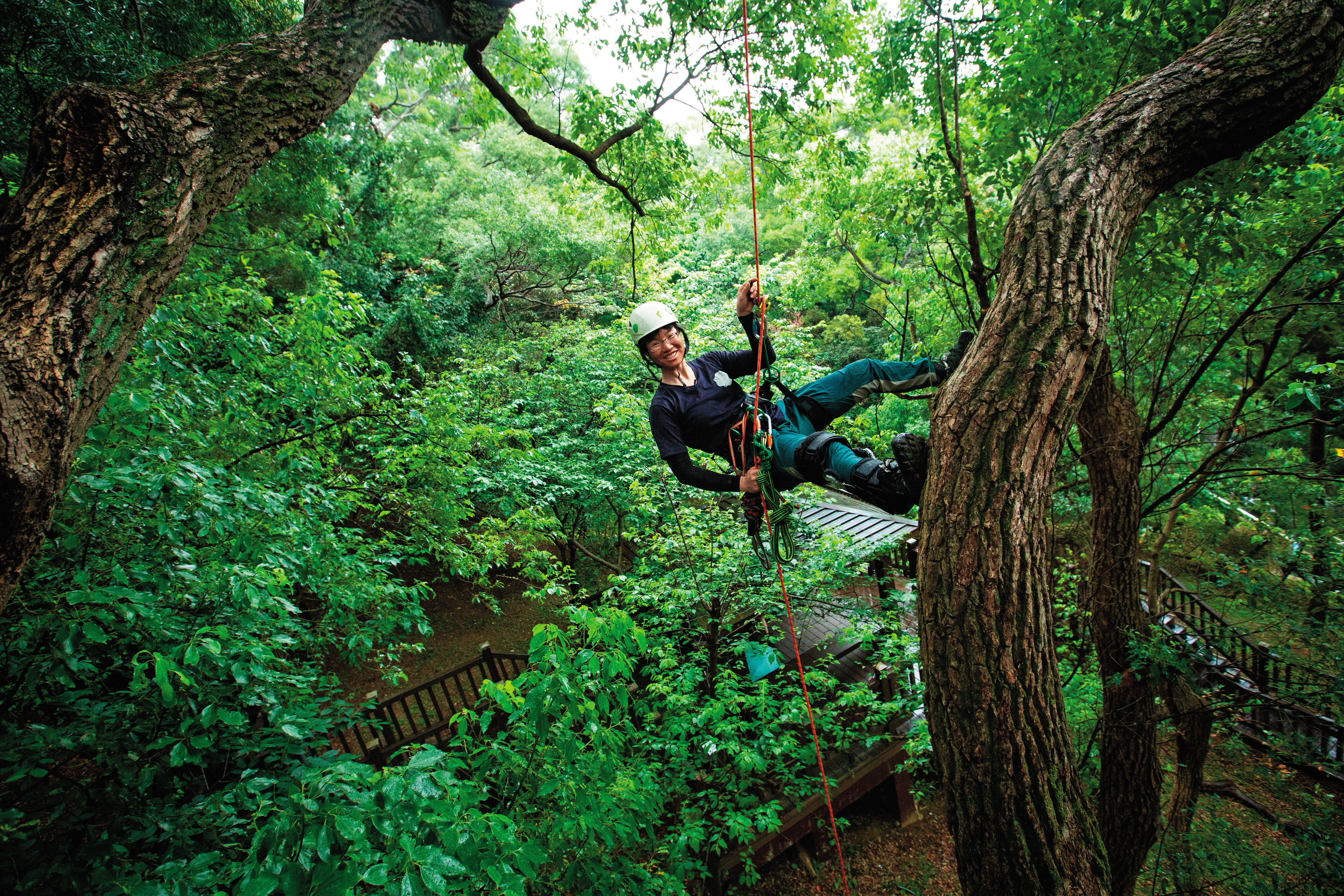 這天，陳雅得到新北市泰山辭修公園攀樹，這是攀樹同好進行技巧切磋的地方。