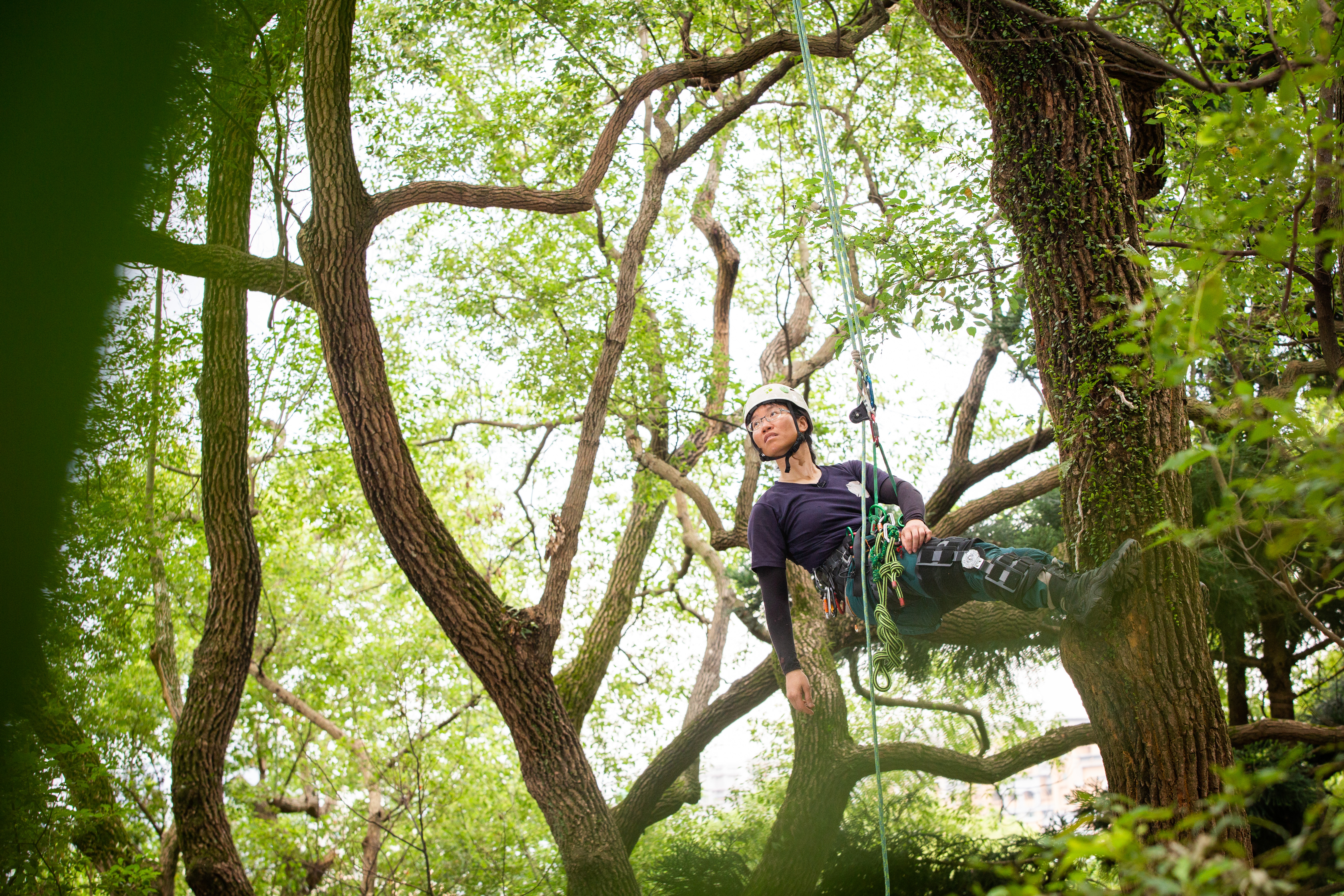 這天，陳雅得到新北市泰山辭修公園攀樹，這是攀樹同好進行技巧切磋的地方。