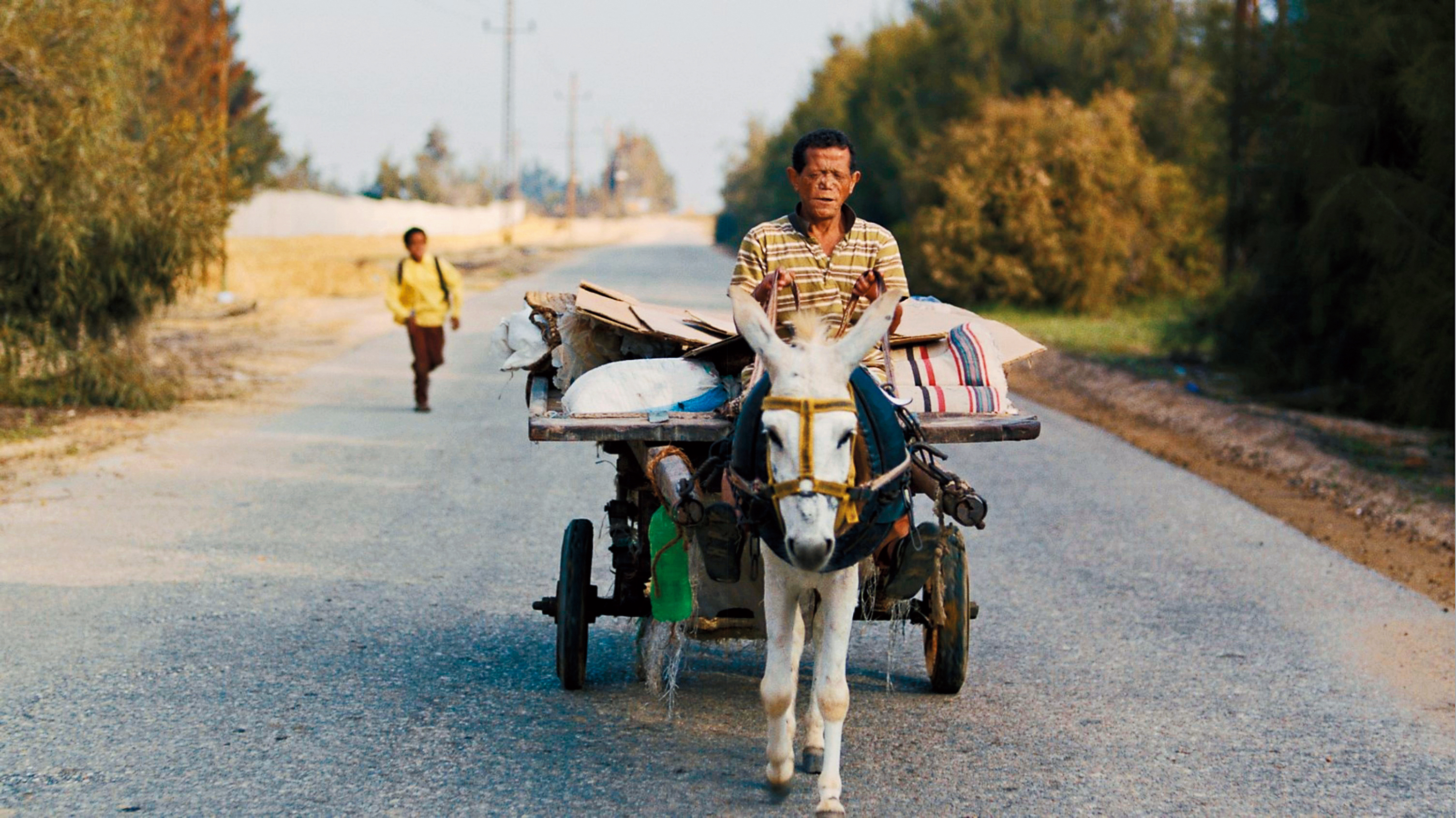 《逆著風的旅行》描述痲瘋病人尋親的故事，但劇本過於斧鑿，反而削弱了原本的優點。（海鵬提供）