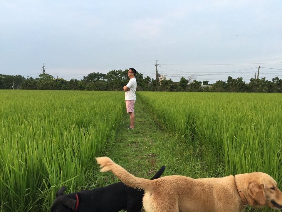 羅文嘉遭黨內質疑外洩總統初選期程草案，深夜在臉書發文直言，動用力量打擊他沒有用。（取自羅文嘉臉書）