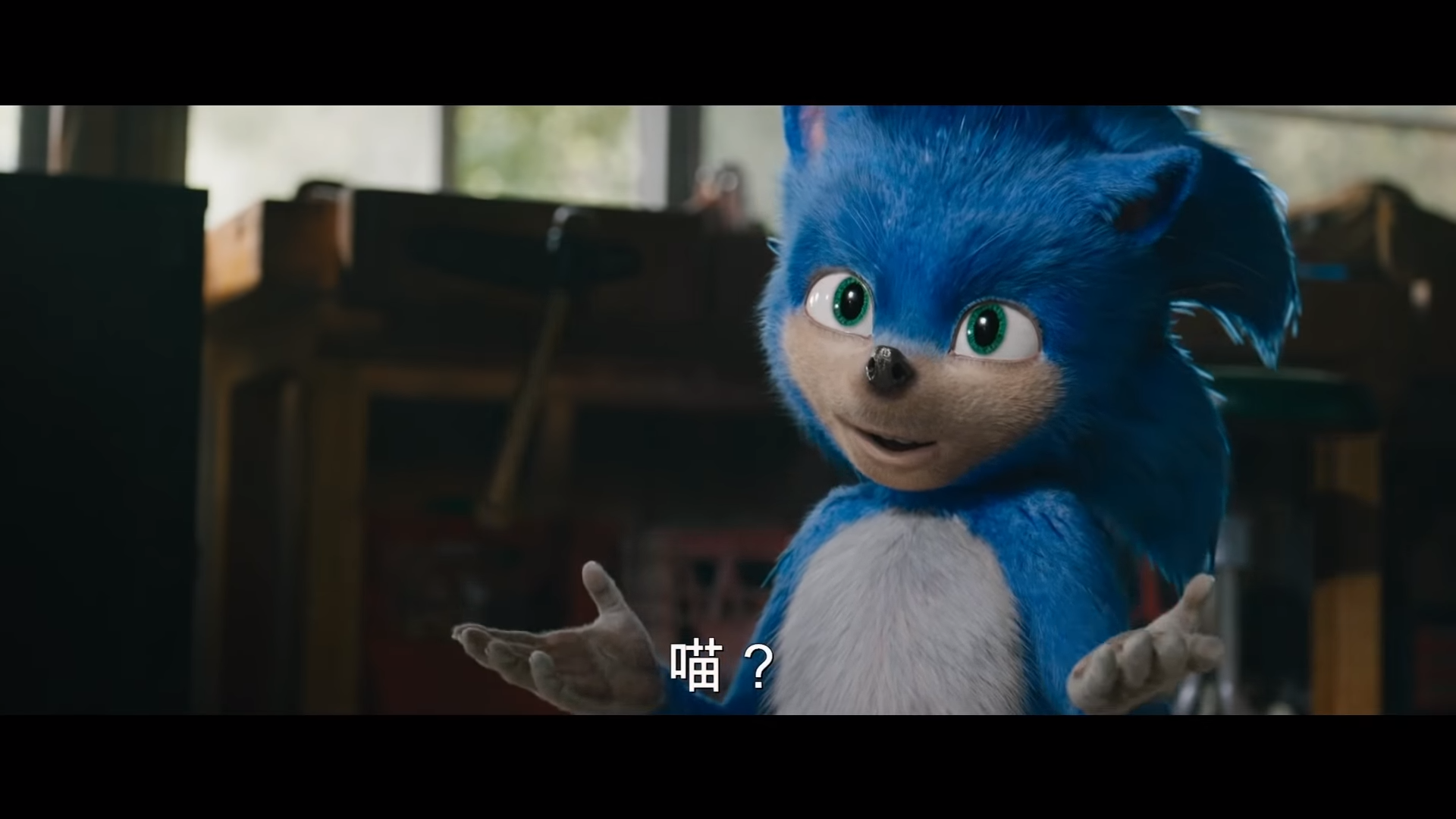 不是所有的爭議都可以靠貓咪搞定。（翻攝自派拉蒙影片 官方頻道 Youtube）