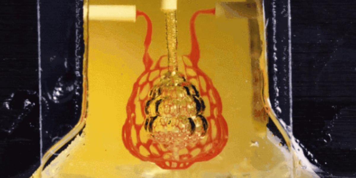 【3D列印植入器官（上）】美科學家造出人類血管網路　肝細胞生物列印物可植入鼠內