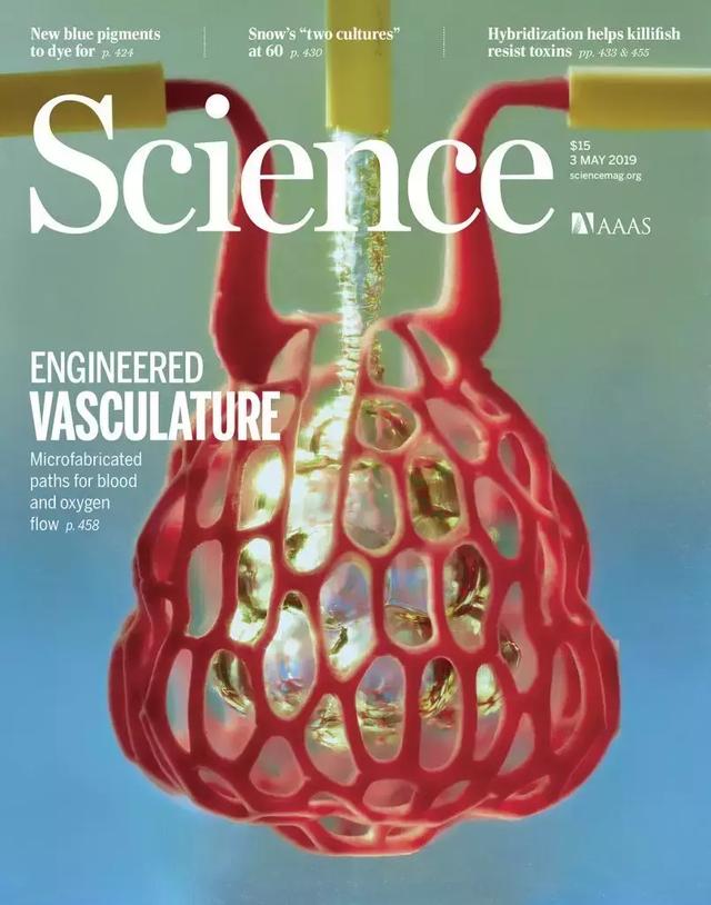 圖 | 最新一期 Science 封面。（來源：Science）