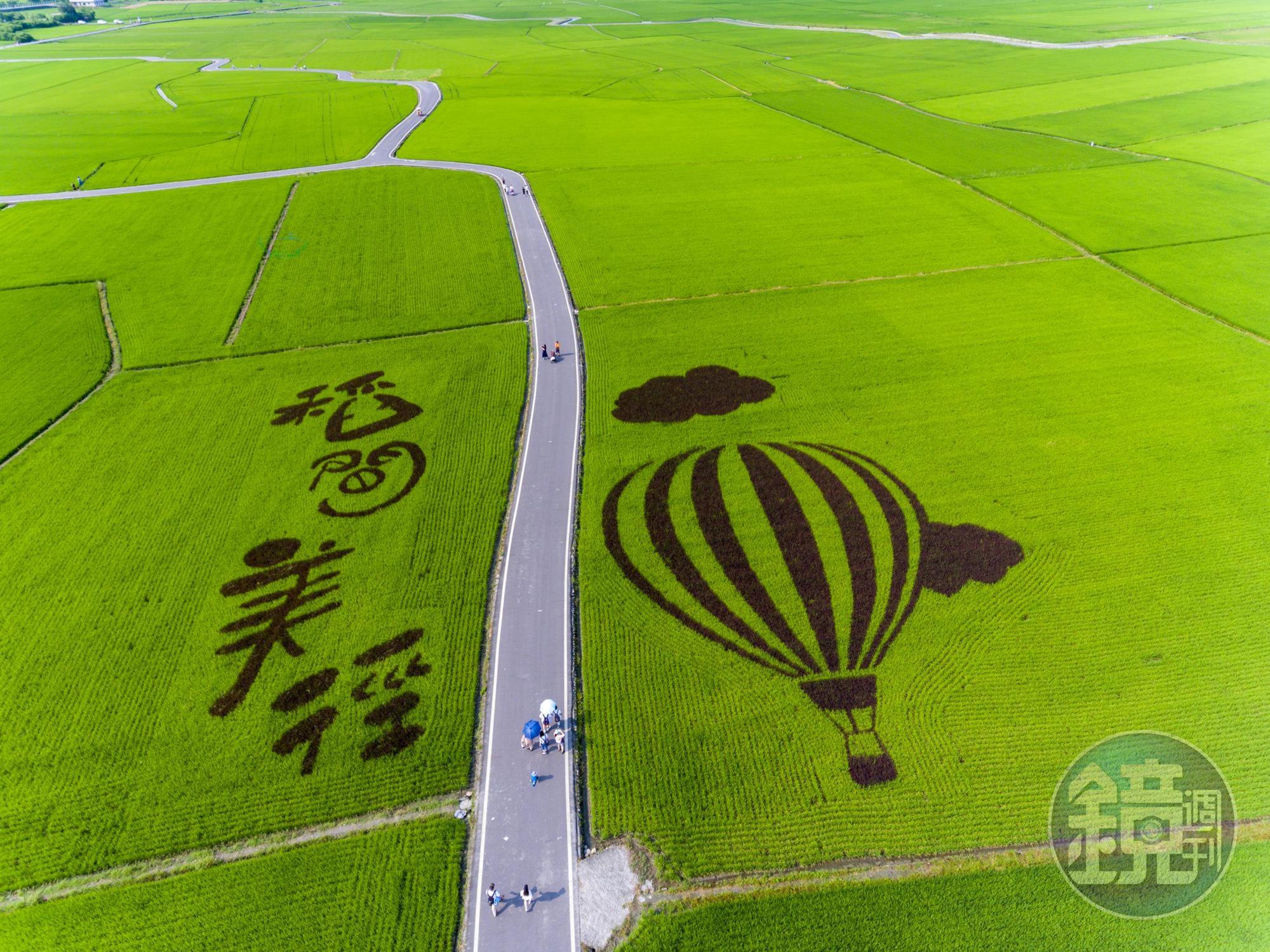 宜蘭冬山鄉公所的彩繪稻田，將這裡重新命名為三奇村稻間美徑，並在此地展開一系列活動。