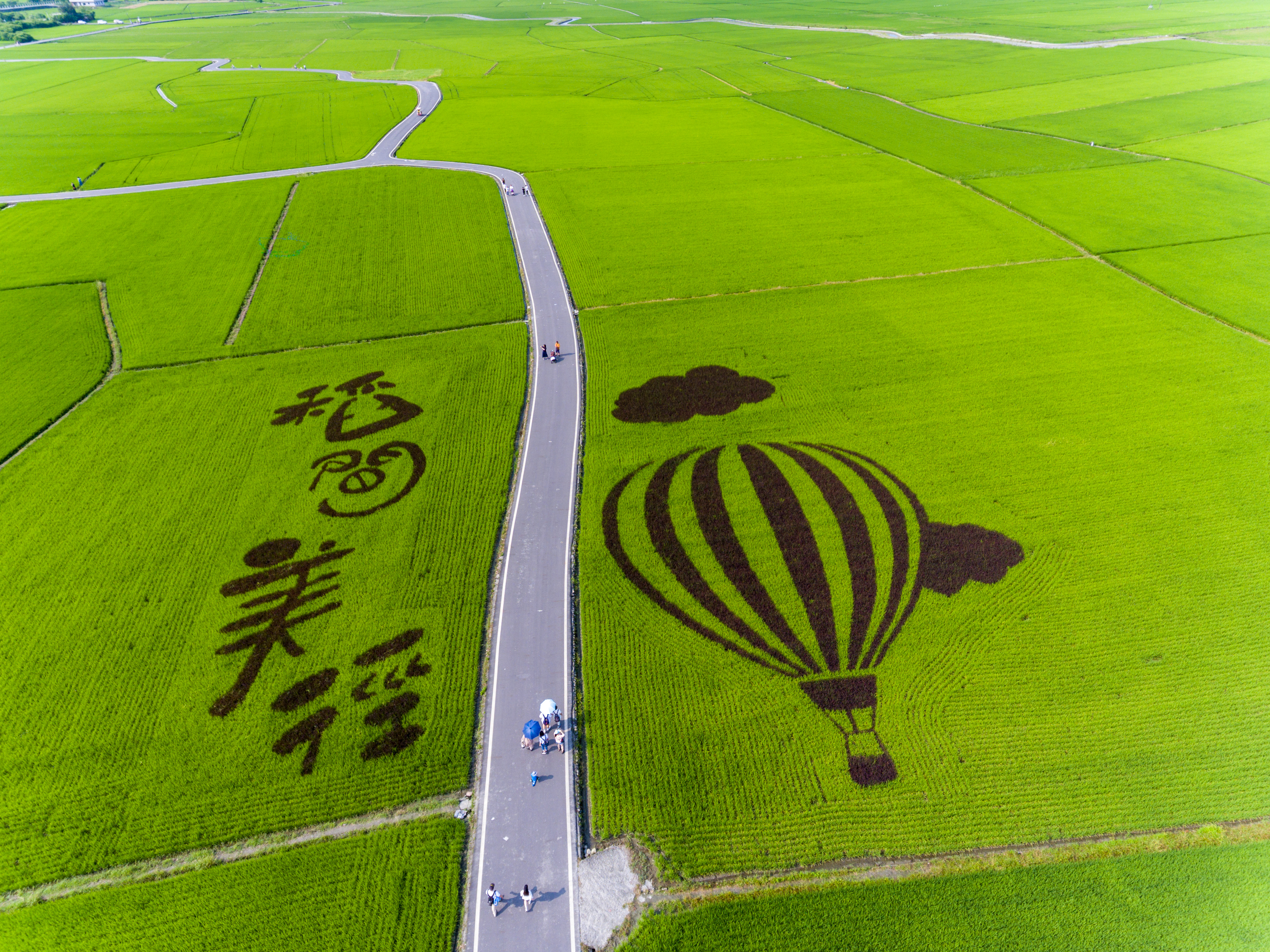 宜蘭冬山鄉公所的彩繪稻田，將這裡重新命名為三奇村稻間美徑，並在此地展開一系列活動。