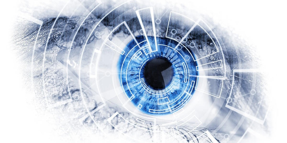 AI把「狗」認成「貓」　只因它在捕捉人類看不到的特徵