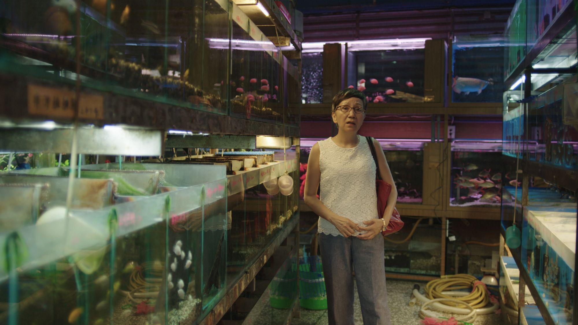 陸弈靜在公視人生劇展《三天兩夜》飾演兩位國中生的課輔班老師，一路追上梨山去找尋離家的學生。（公視提供）