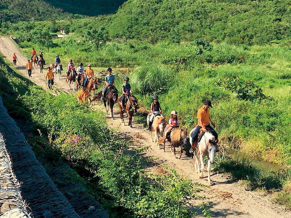 悠客渡假村標榜提供騎馬體驗,吸引國內外不少遊客。(翻攝悠客渡假村臉書)