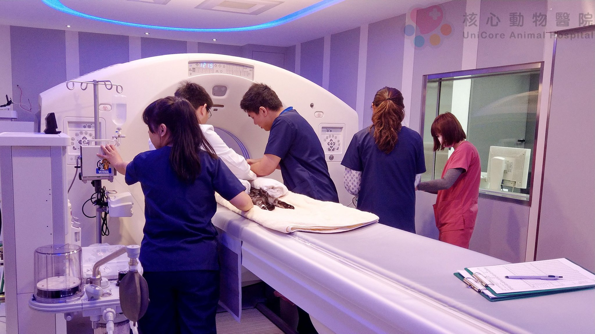 仁寶轉投資宇核生醫旗下的核心動物醫院導入電子化病歷，收集寵物疾病大數據。（翻攝自核心動物醫院）