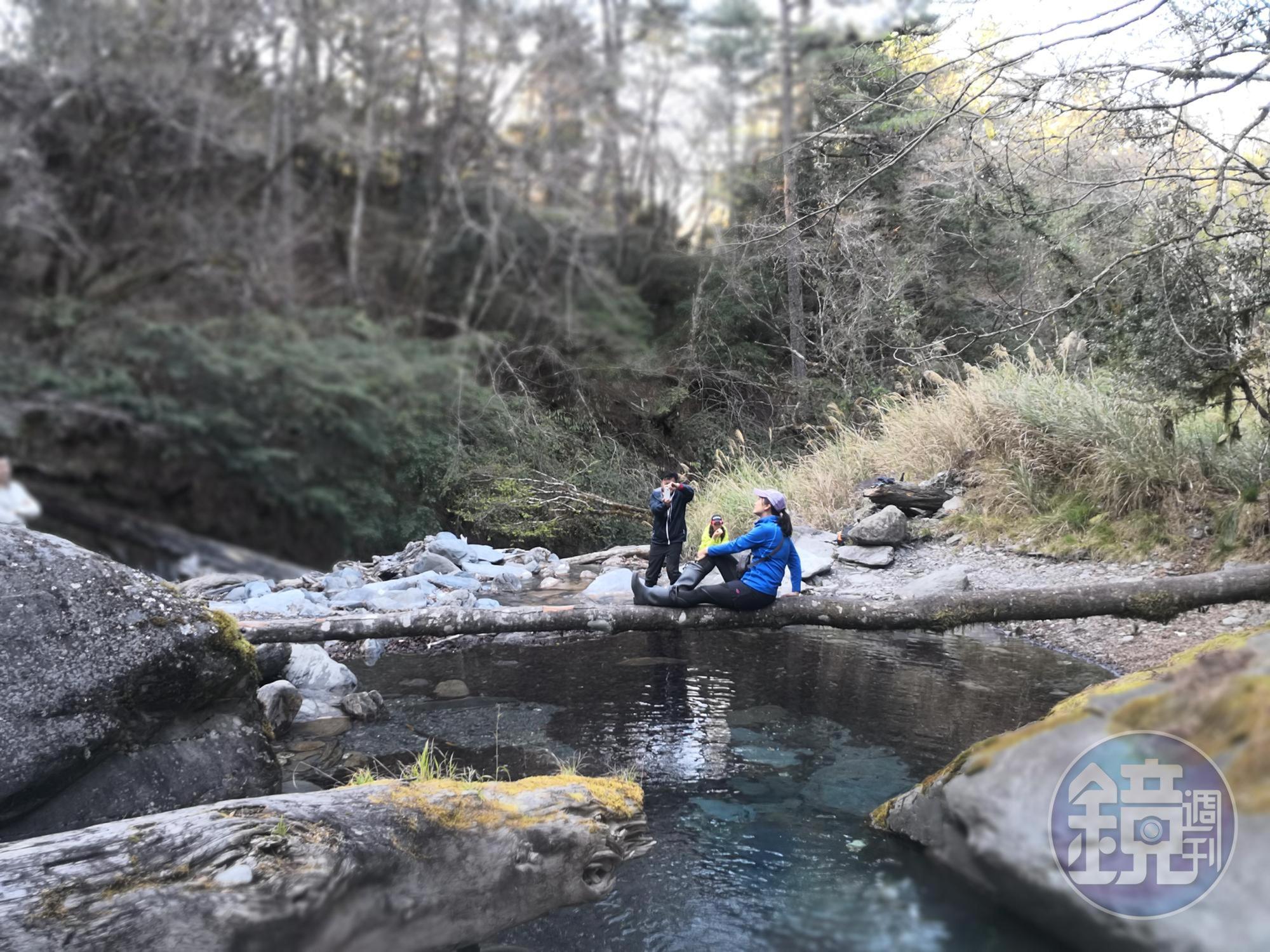松針營地旁的活水源。