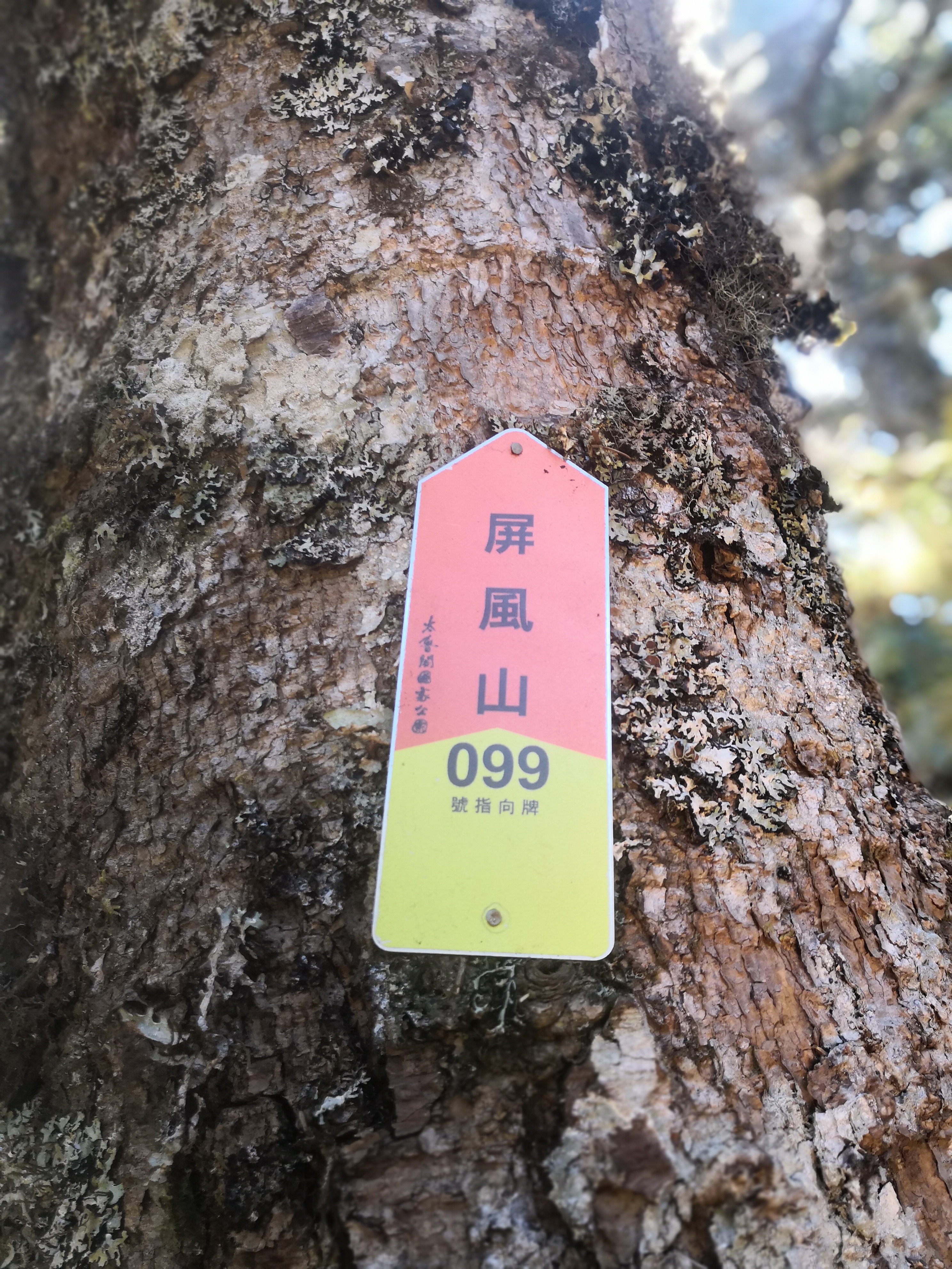 沿路都有標示牌。