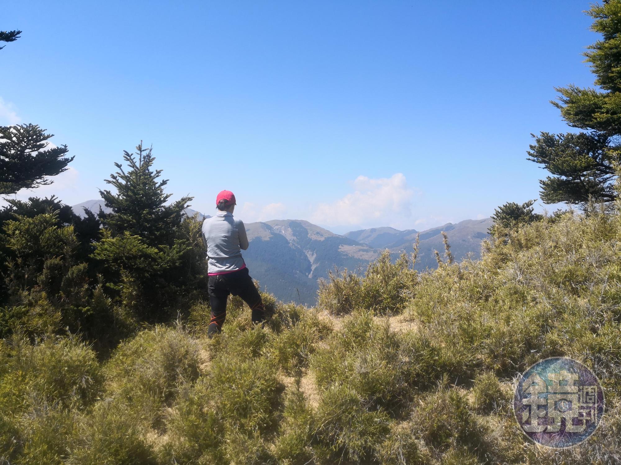除奇來北壁，合歡群峰也呈現在眼前。