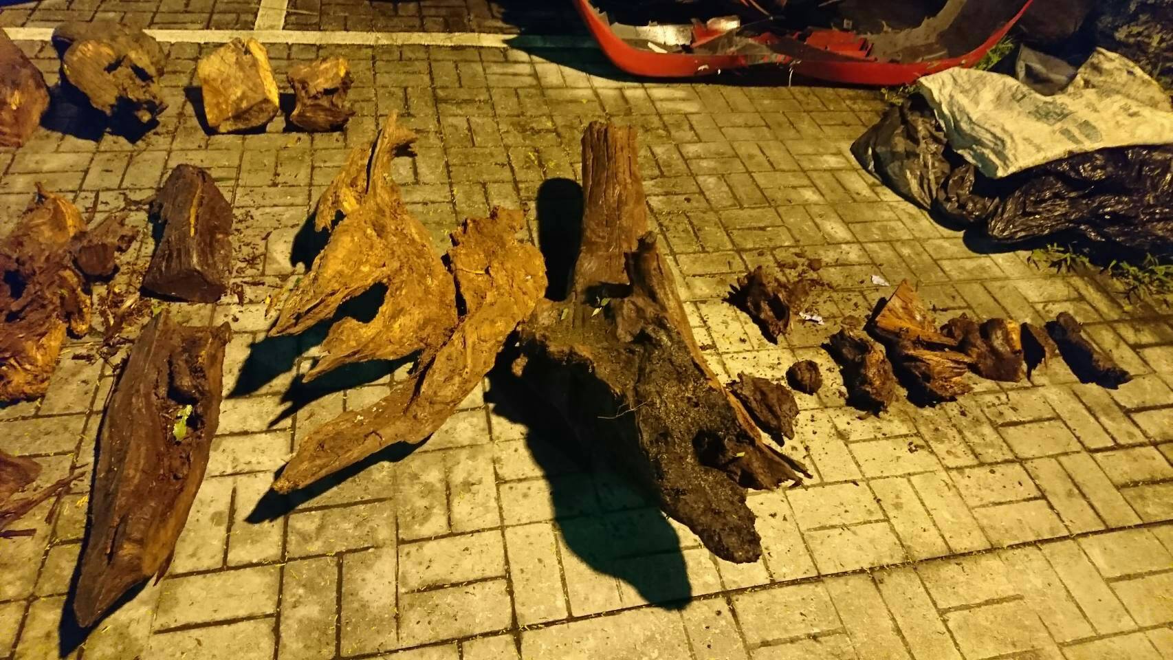 警方在劉嫌車上發現貴重國有木。（翻攝畫面）