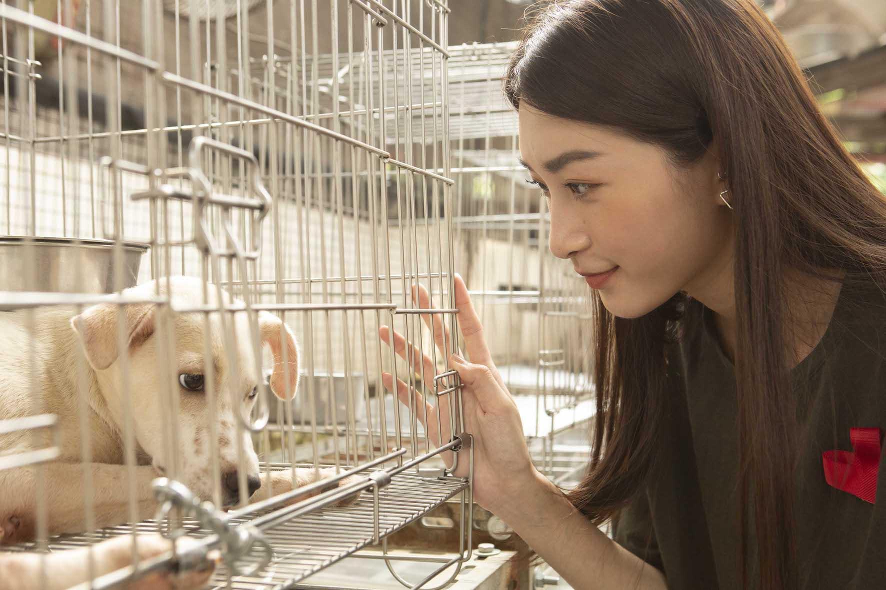 林蔚廷看到幼犬區被棄養的狗狗，忍不住眼眶泛淚。（凱渥提供）