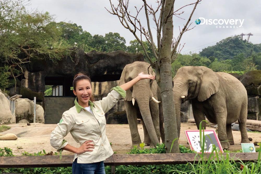 身為動物星球頻道年度代言人的李玟,歡慶Discovery頻道在台開播25週年,參加硬派挑戰,體驗動物園一日保育員。(Discovery頻道提供)
