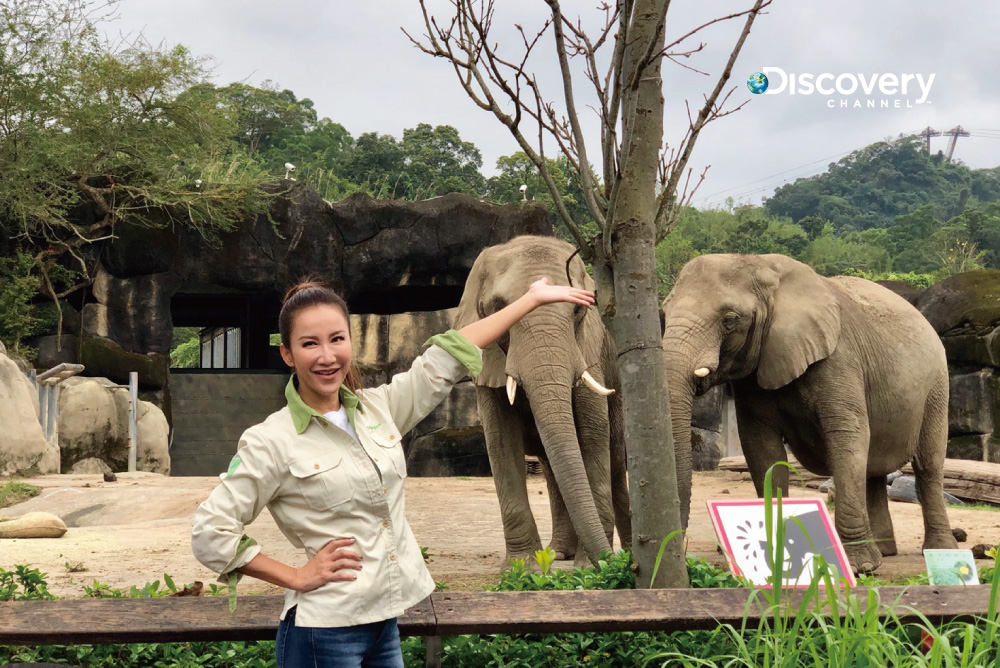 身為動物星球頻道年度代言人的李玟，歡慶Discovery頻道在台開播25週年，參加硬派挑戰，體驗動物園一日保育員。（Discovery頻道提供）