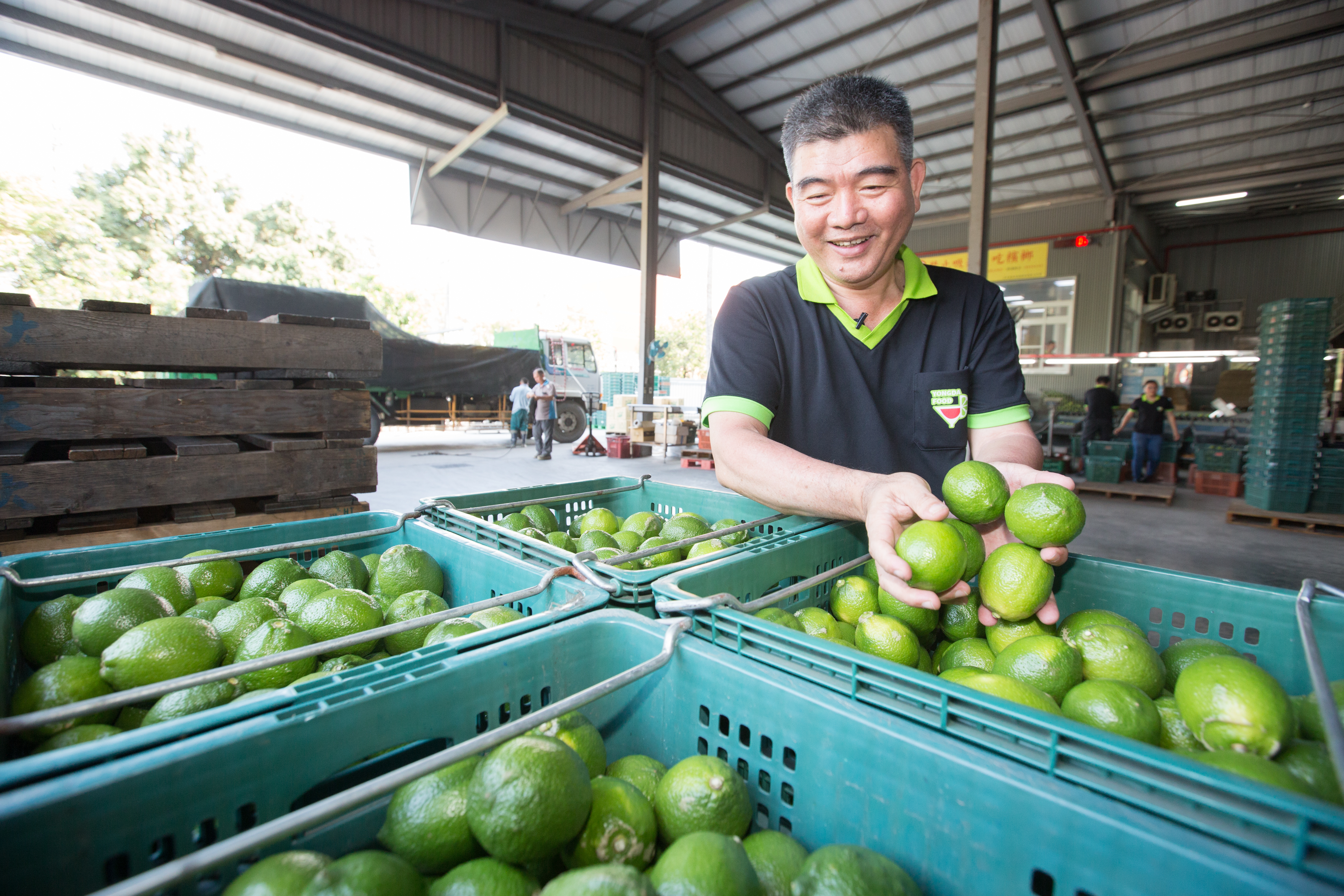 蔡耀輝將收購來的檸檬洗淨分級，不到1/100的鮮果送往果菜拍賣市場販售，其他則榨檸檬原汁急速冷凍。