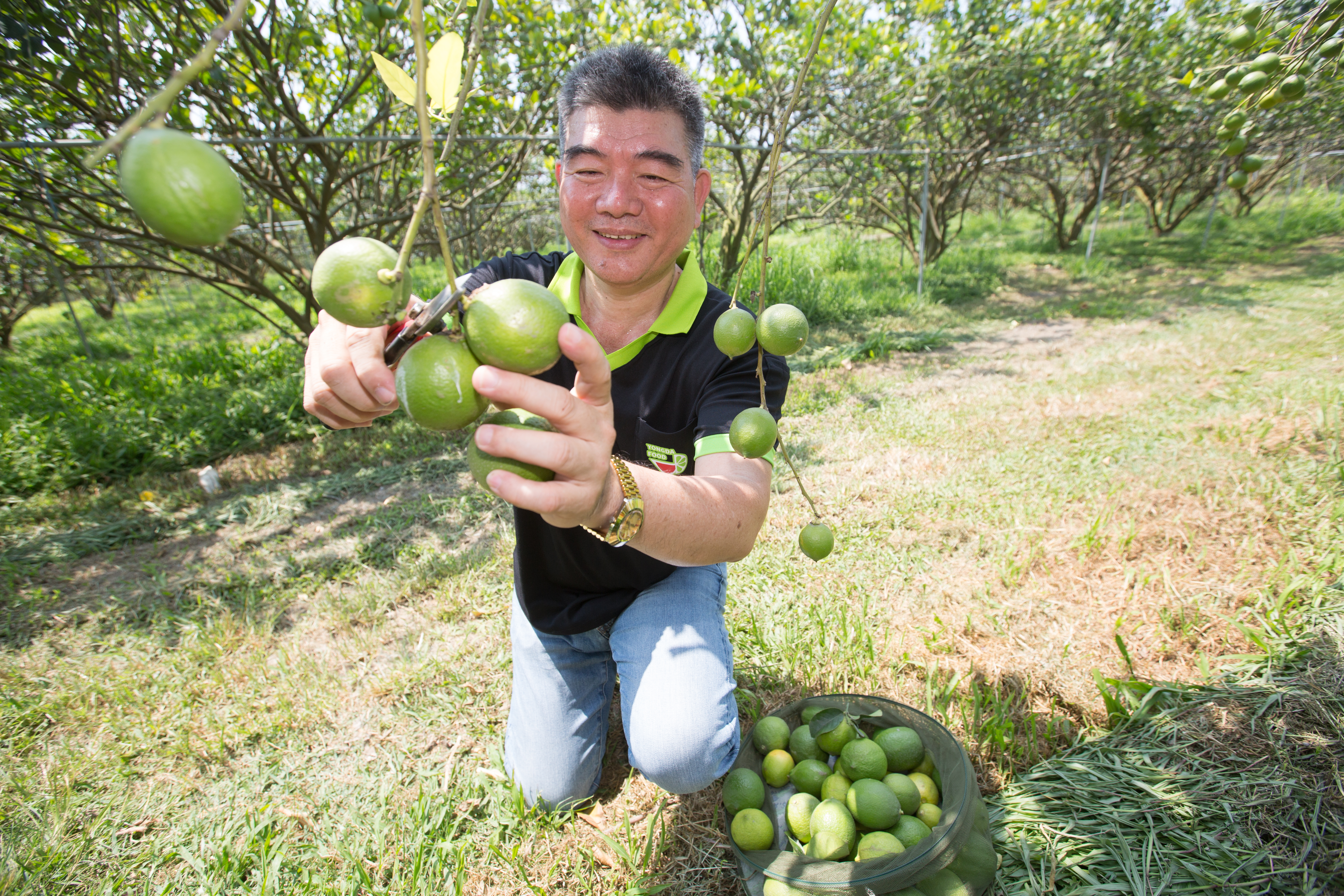 從4度創業失敗的魯蛇，蔡耀輝翻身成台灣一線連鎖茶飲品牌的主要原料供應商，卻差點進不了國內大學再進修。