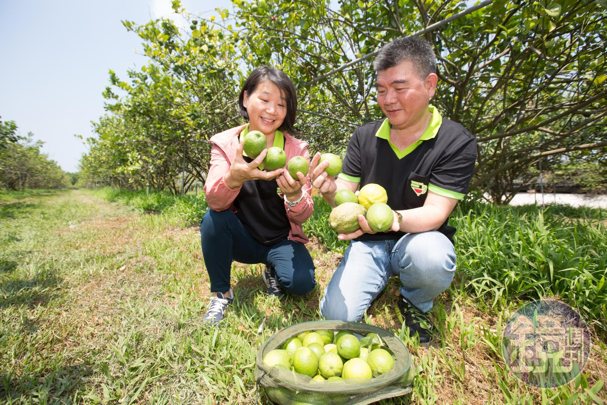 蔡耀輝（右）身材壯碩結實，卻有顆愛吃甜食的少女心，妻子、永大食品總經理特助謝秀琴（左）笑他如同螞蟻。