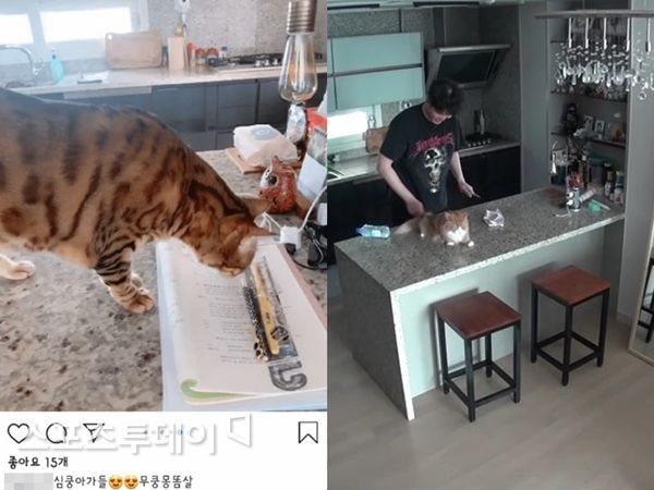 尹鈞相女友在自己IG貼出在男友家的照片，連尹鈞相愛貓也入鏡。（翻攝自今日體育網）