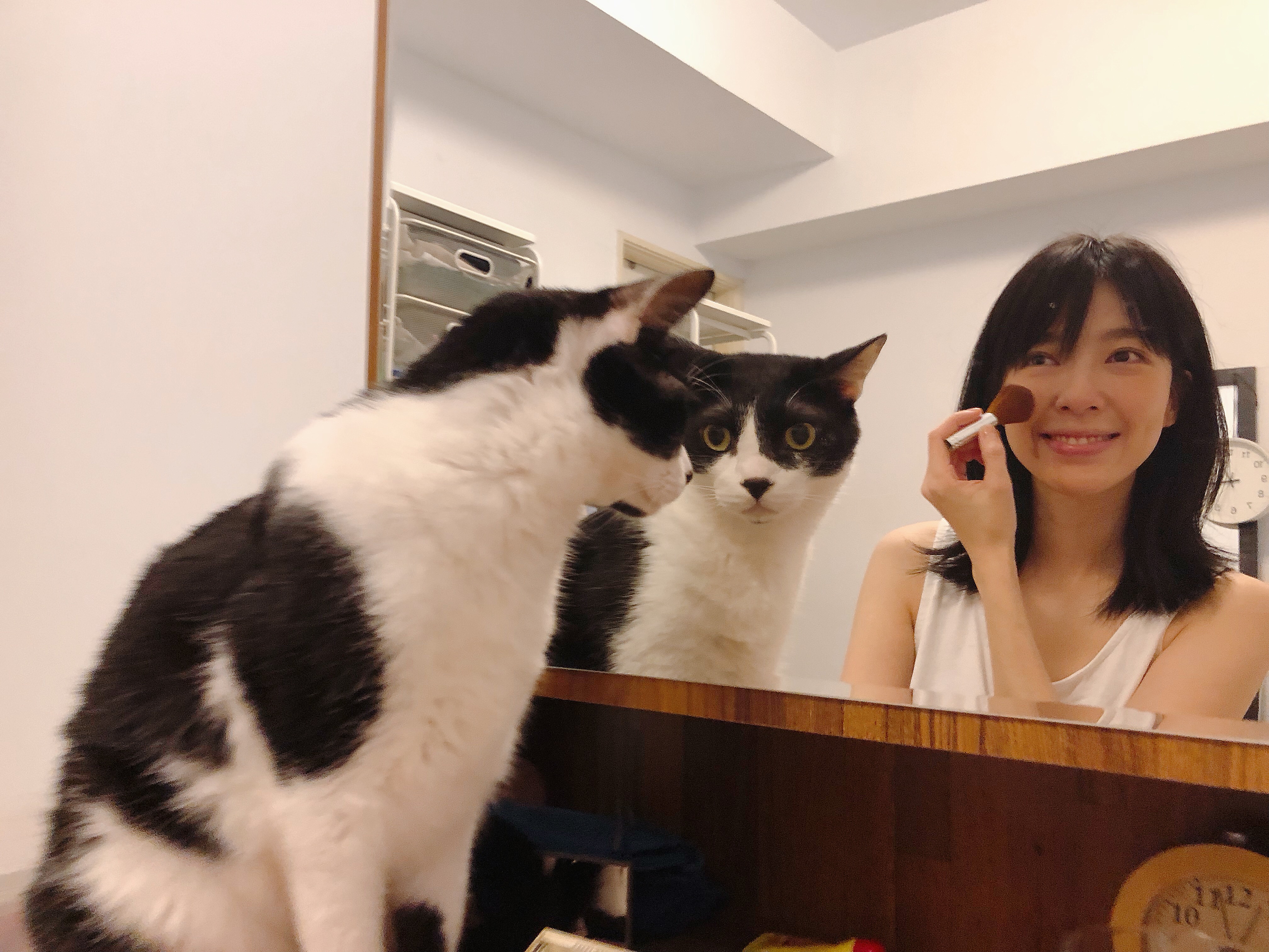 目前家裡養了3隻貓的路嘉欣，無論是擦保養品或化妝，貓都會擠在桌上陪她。（凱渥提供）