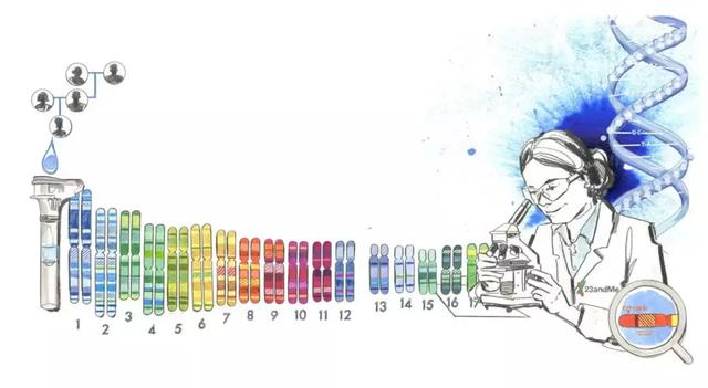 ( 來源:STAT)
