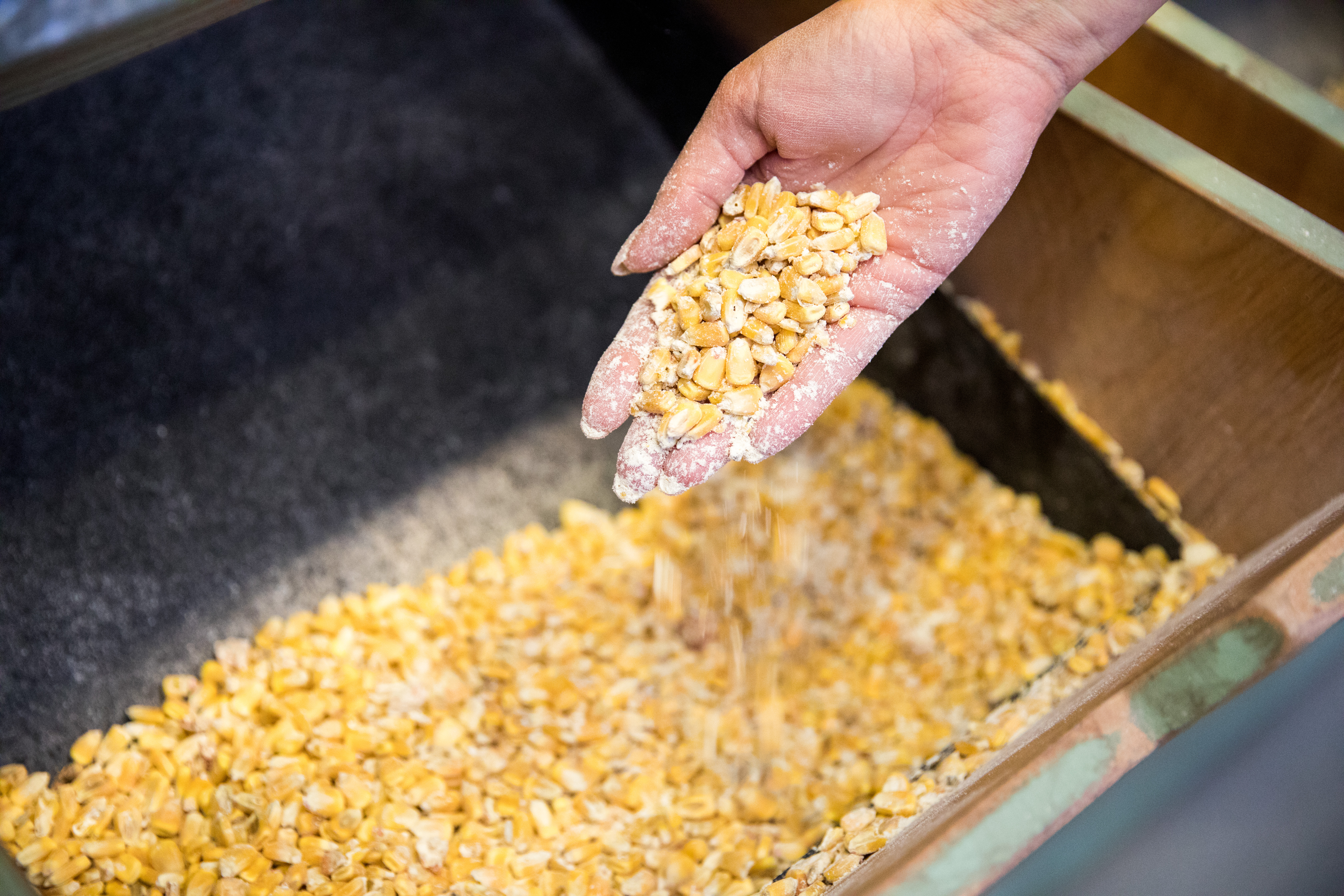 原料必須有超過51％的玉米（Corn），其他穀物的比例則依各家不同。