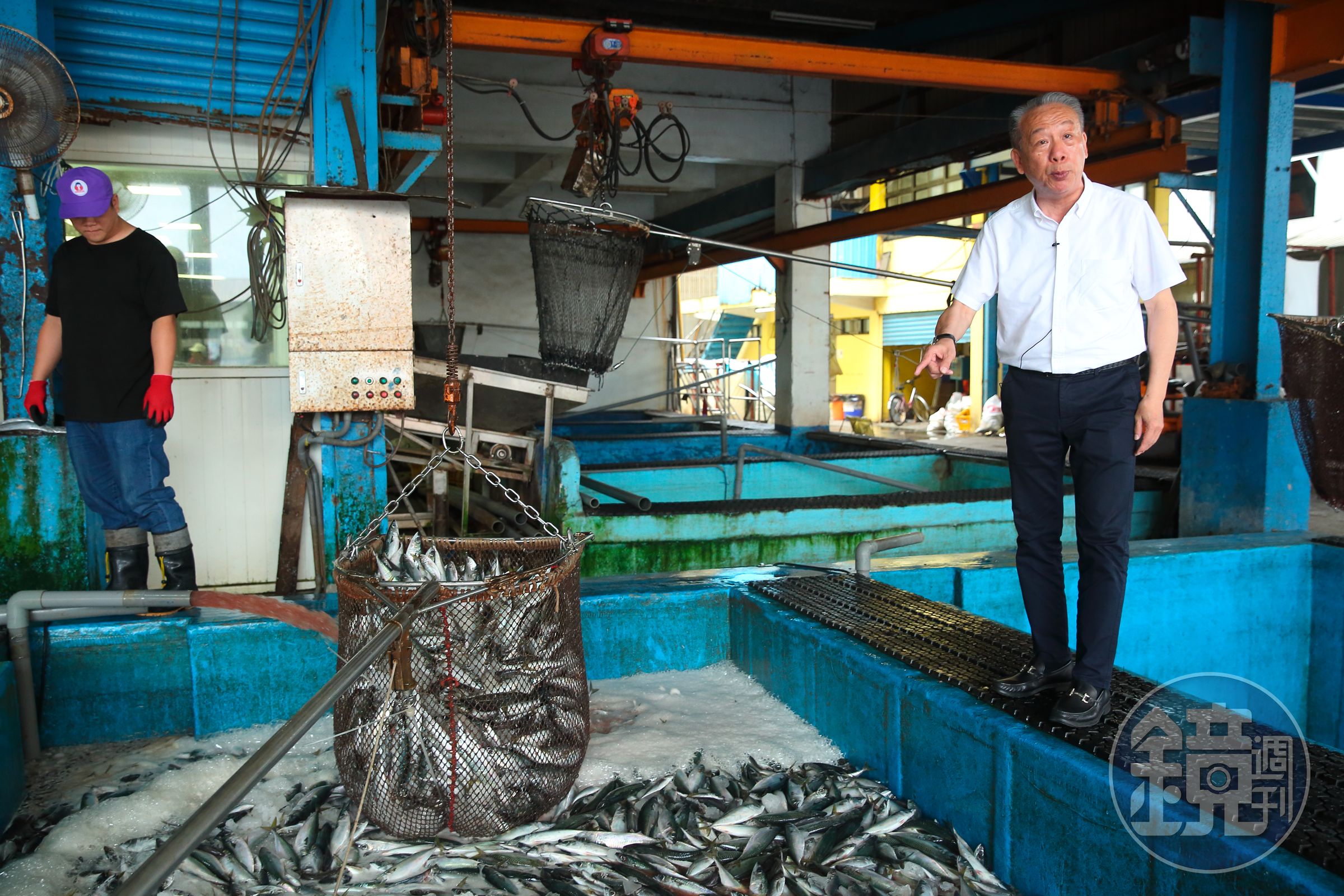 東和食品向固定船家收購現撈鯖魚，吳宗賢從魚眼、魚皮一眼就能辨別是否新鮮，從源頭確保品質。