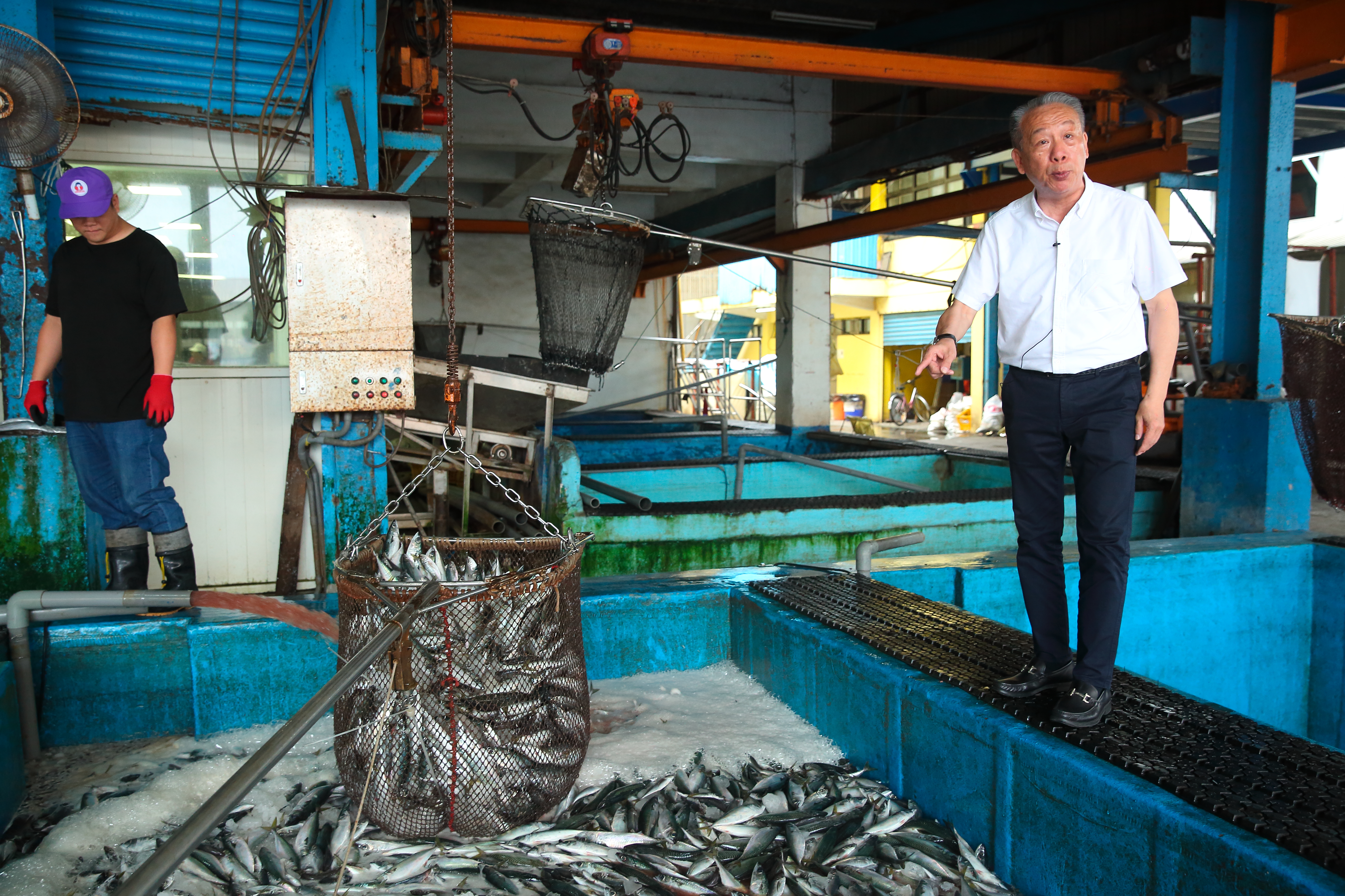 東和食品向固定船家收購現撈鯖魚，吳宗賢從魚眼、魚皮一眼就能辨別是否新鮮，從源頭確保品質。