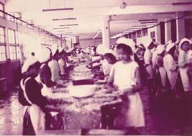 東和食品早期是生產蘆筍、洋菇罐頭起家，早年現場作業員多是年輕女工。（東和食品提供）