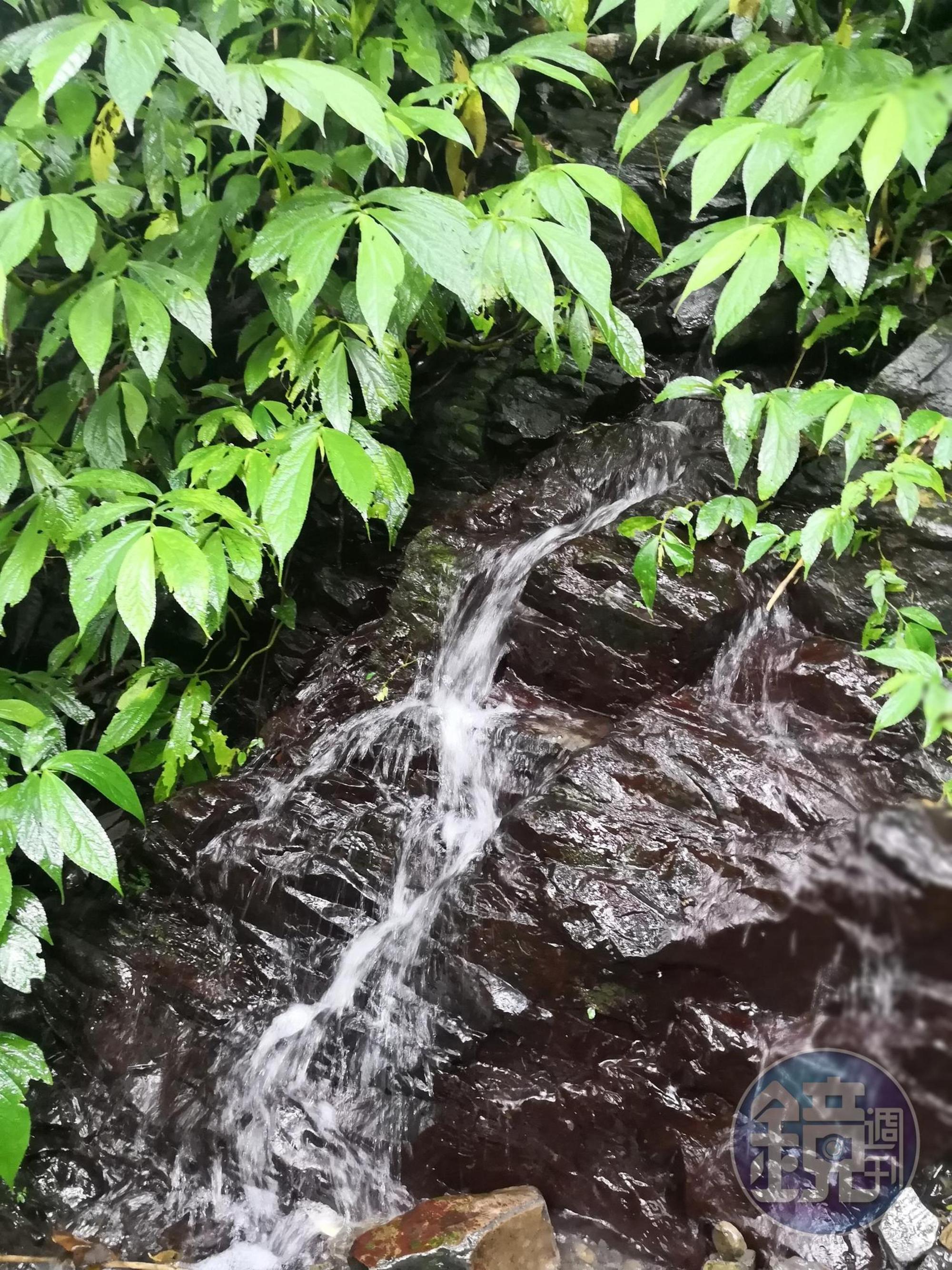 走郊山,很容易遇到活水源。