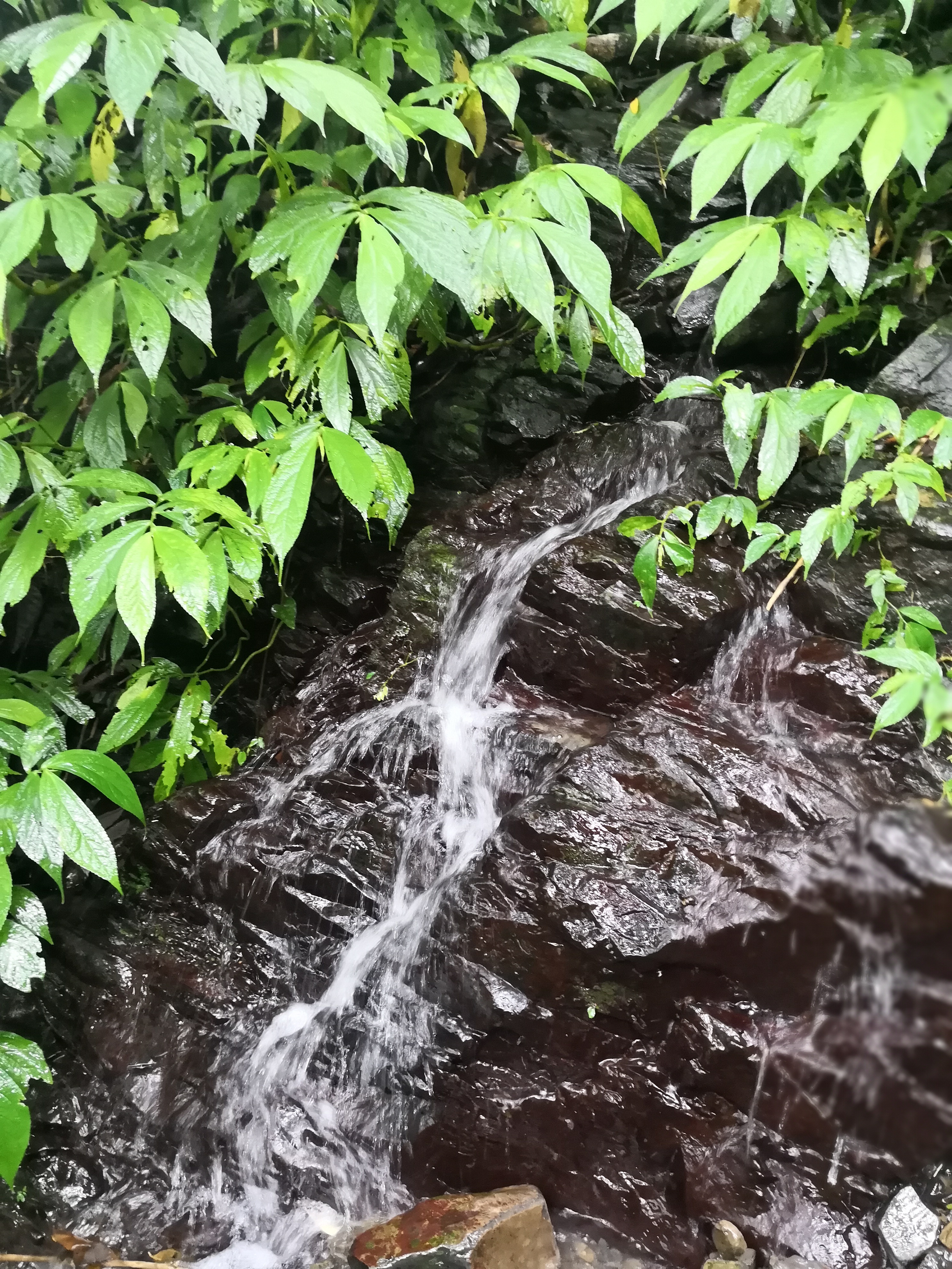 走郊山，很容易遇到活水源。