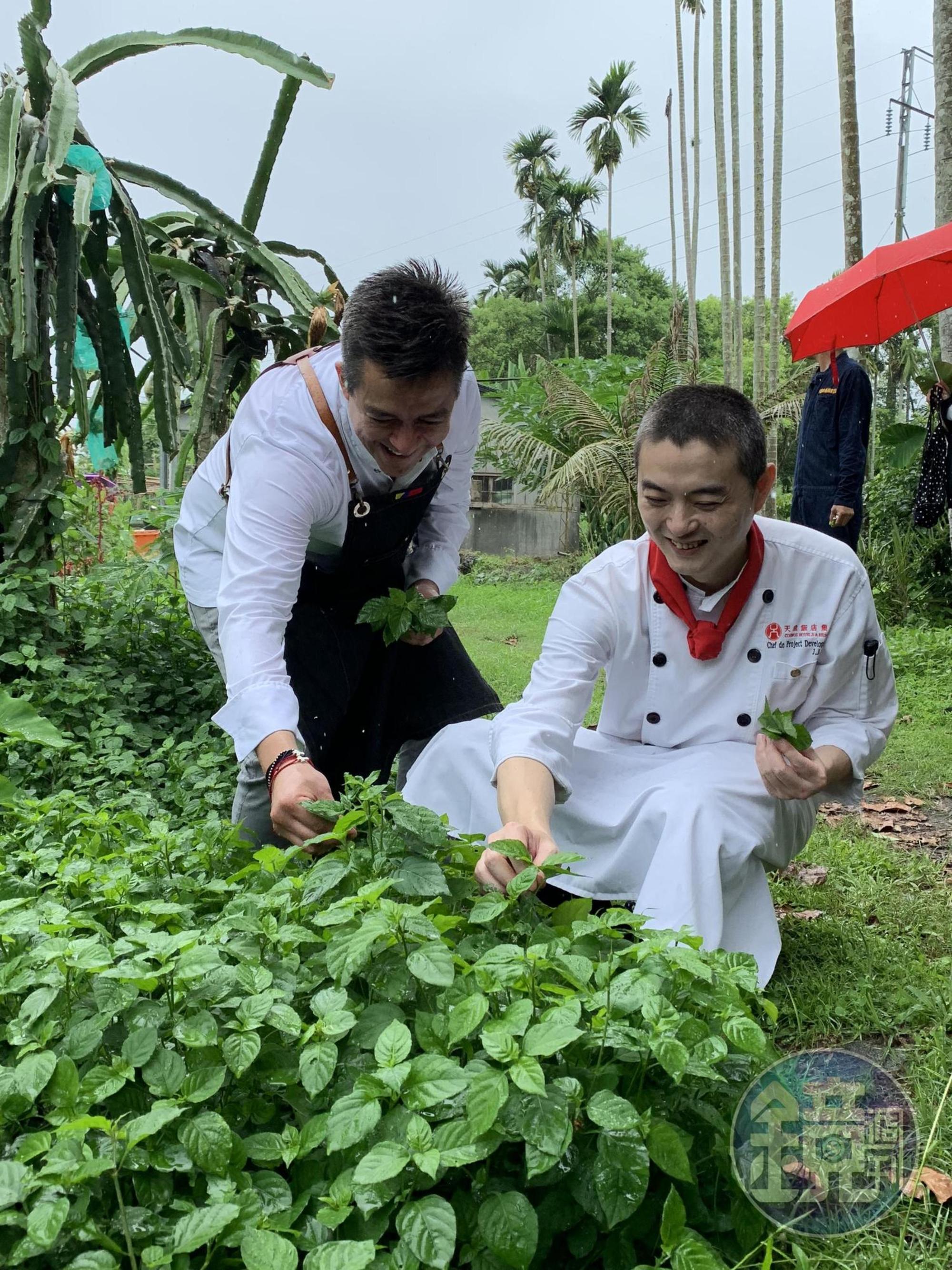 天成飯店集團西餐行政副總主廚魏景振（右）帶著Santiago Torrijos（左）到「彌勒有機果園」找食材。