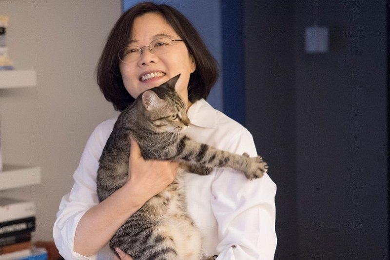 蔡想想是總統蔡英文的愛貓。(翻攝蔡英文臉書)