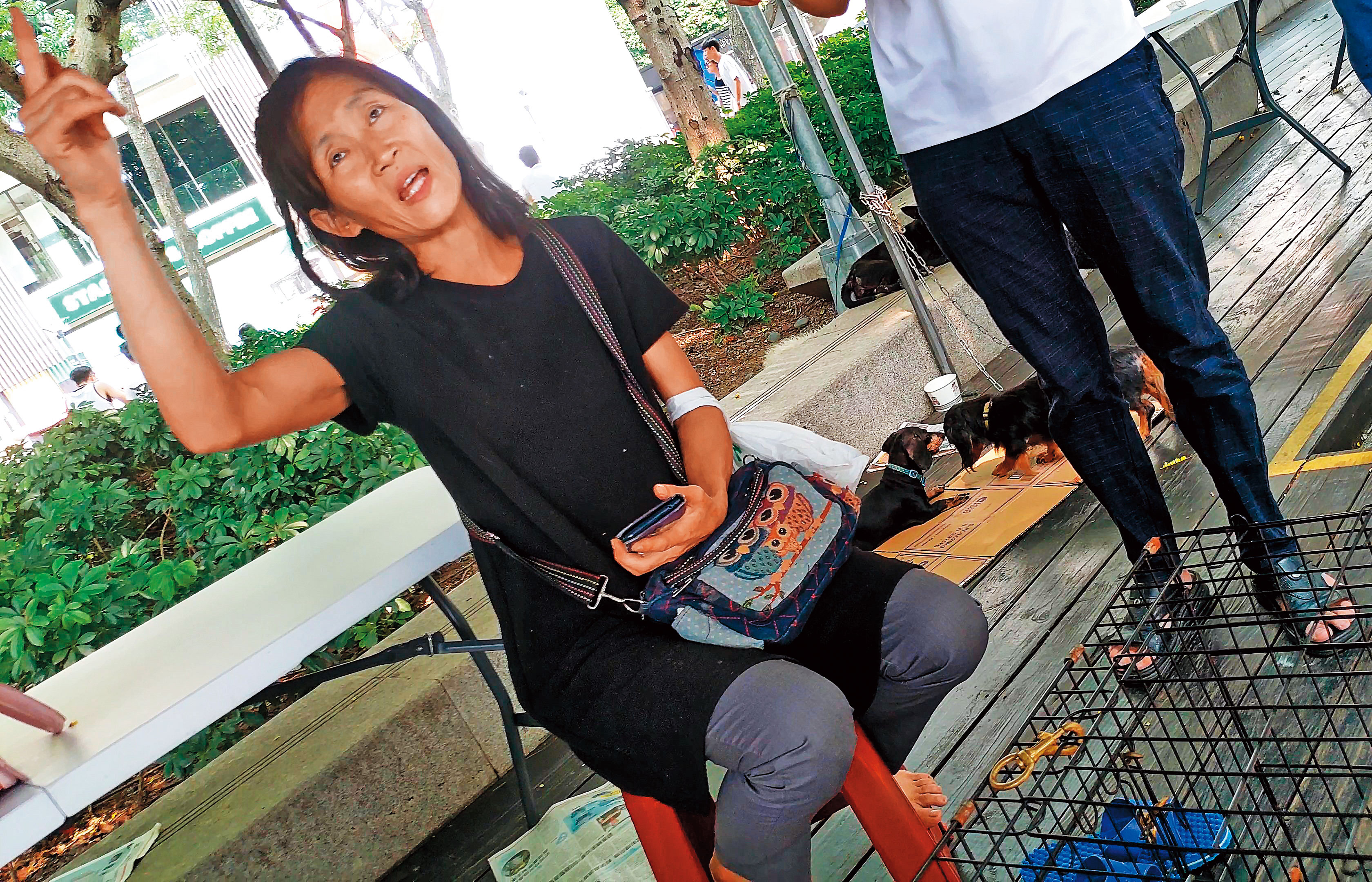 蕭新鳳（左）將幼貓帶到認養會場，有感染之虞，遭動保處人員（右方穿白衣站立者）告誡，雙方發生爭執。