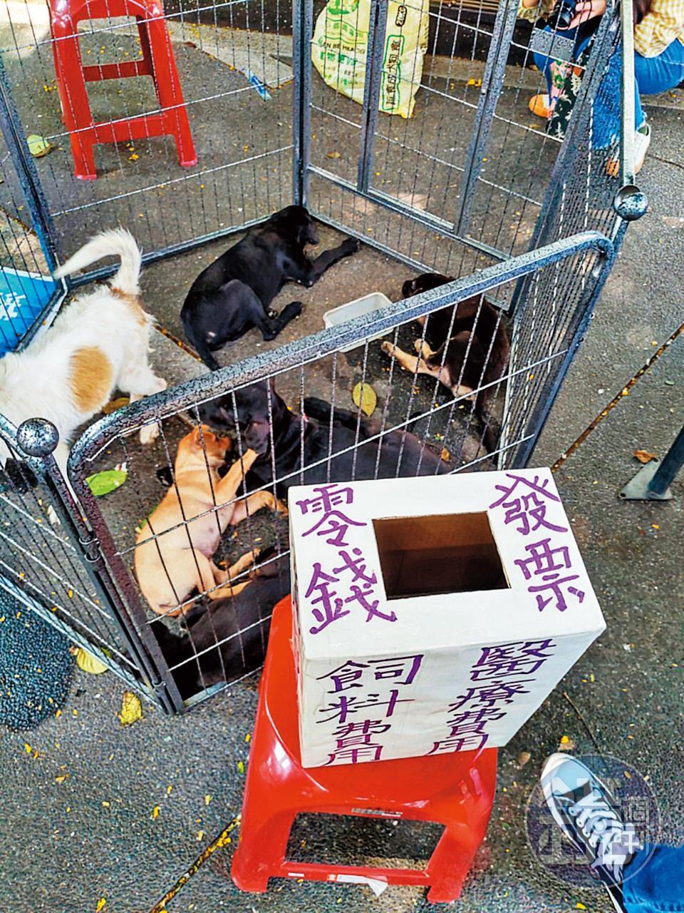 認養會場除了2攤成立協會,接受主管機關監督,其餘均屬非法募款。