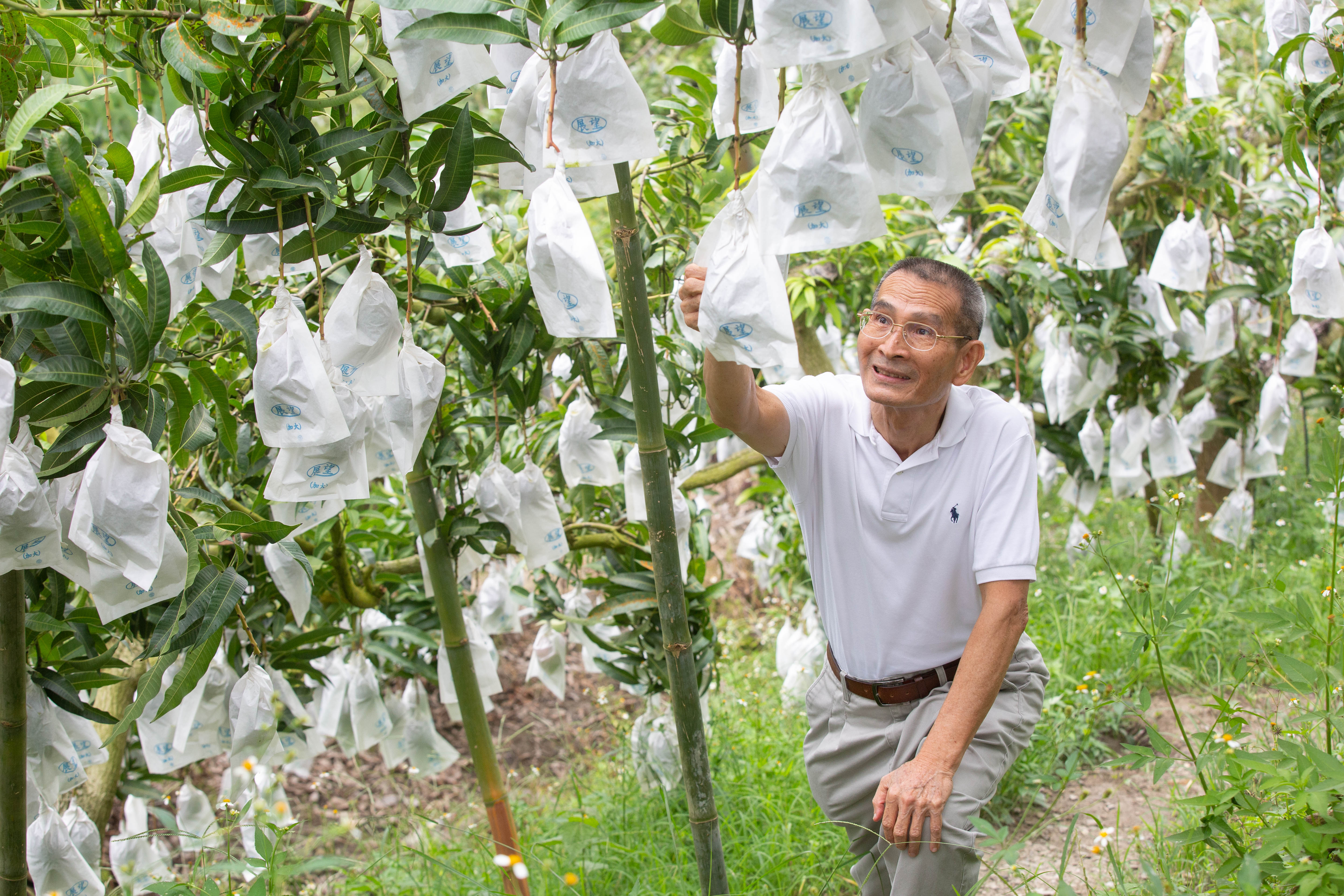 為了穩定供貨,陳盈貴以高價收購水果外銷,也親自跑產地和農民搏感情。
