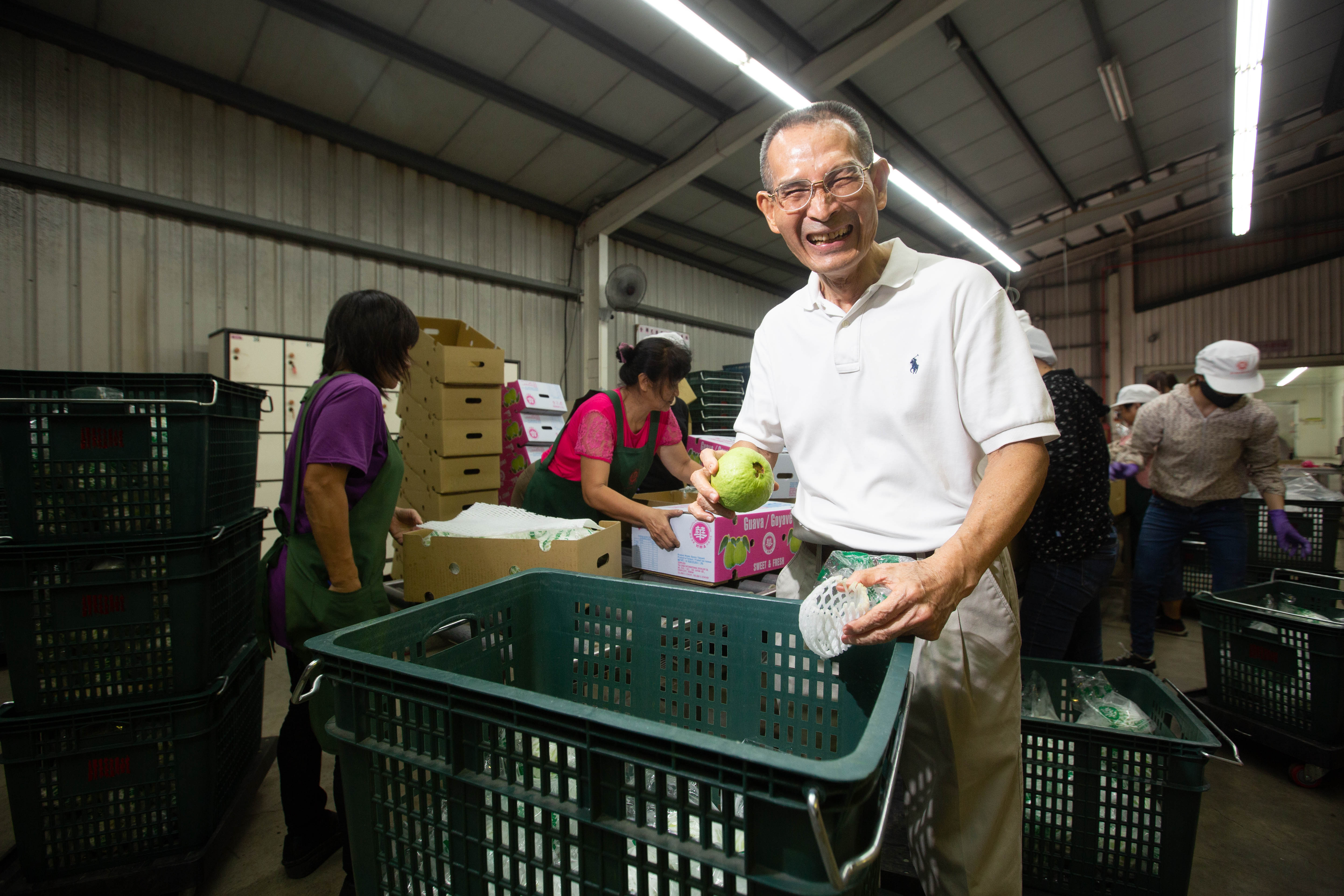 陳盈貴從柳橙切入水果外銷市場，之後台灣又開放椪柑外銷。因緣際會下，他決定轉戰菲律賓。