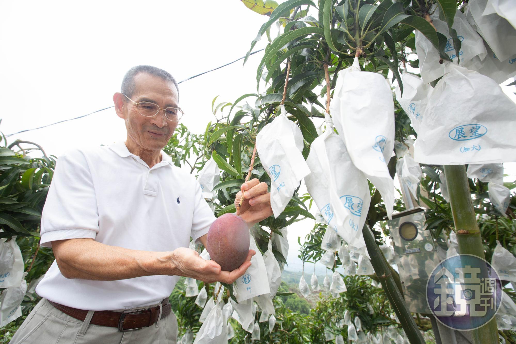 陳盈貴是家中獨子，他不顧母親反對隻身到菲律賓開發市場，卻讓母親一氣之下病重去世。